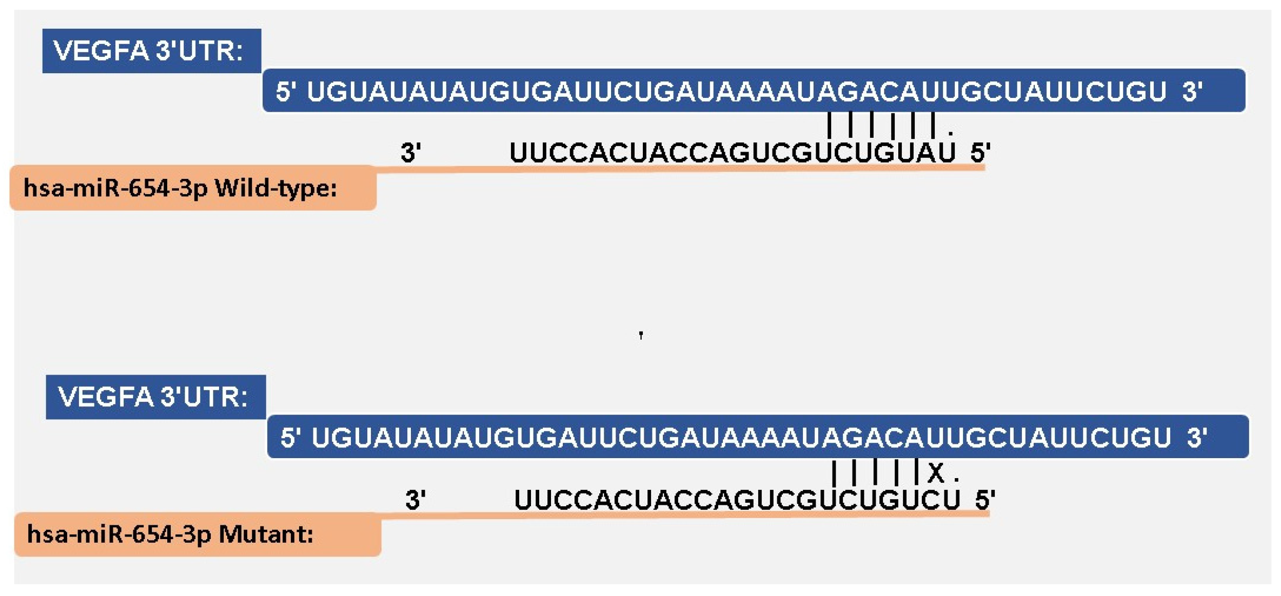 Biomedicines 13 01192 g006