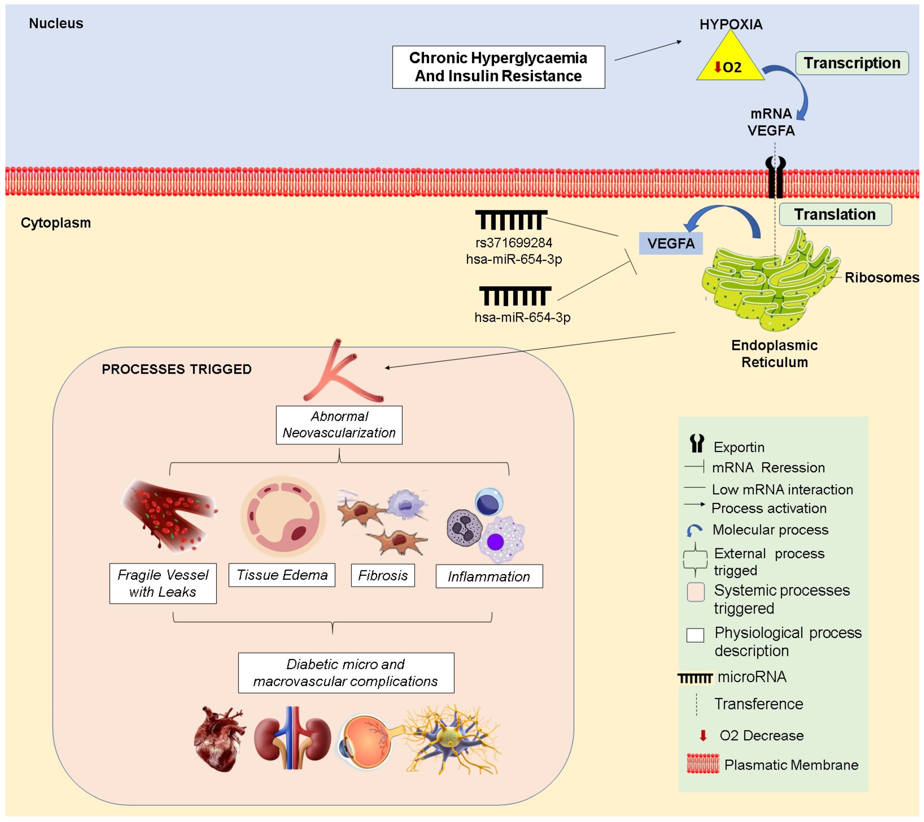 Biomedicines 13 01192 g008