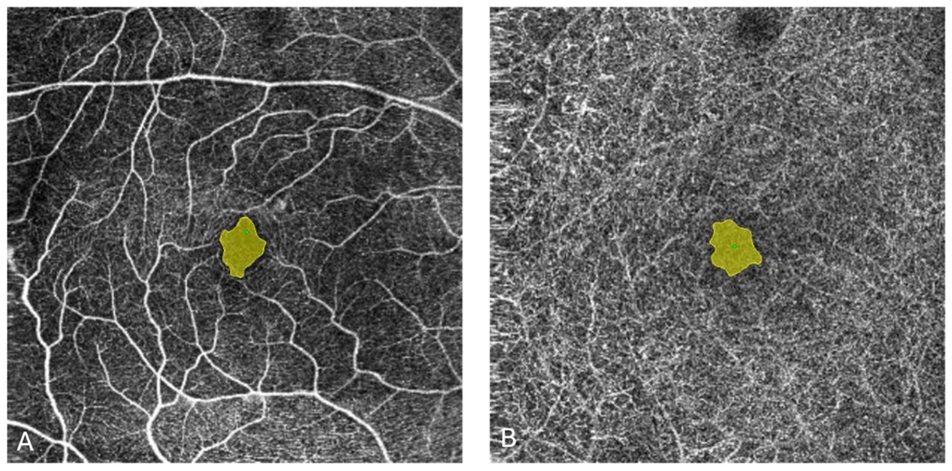 Biomedicines 13 01194 g001