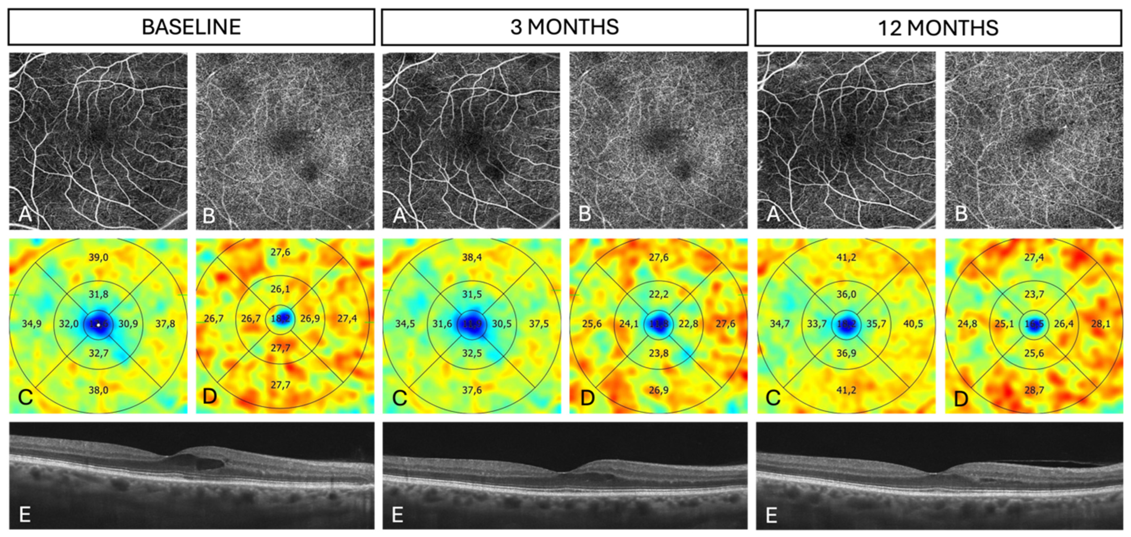 Biomedicines 13 01194 g002