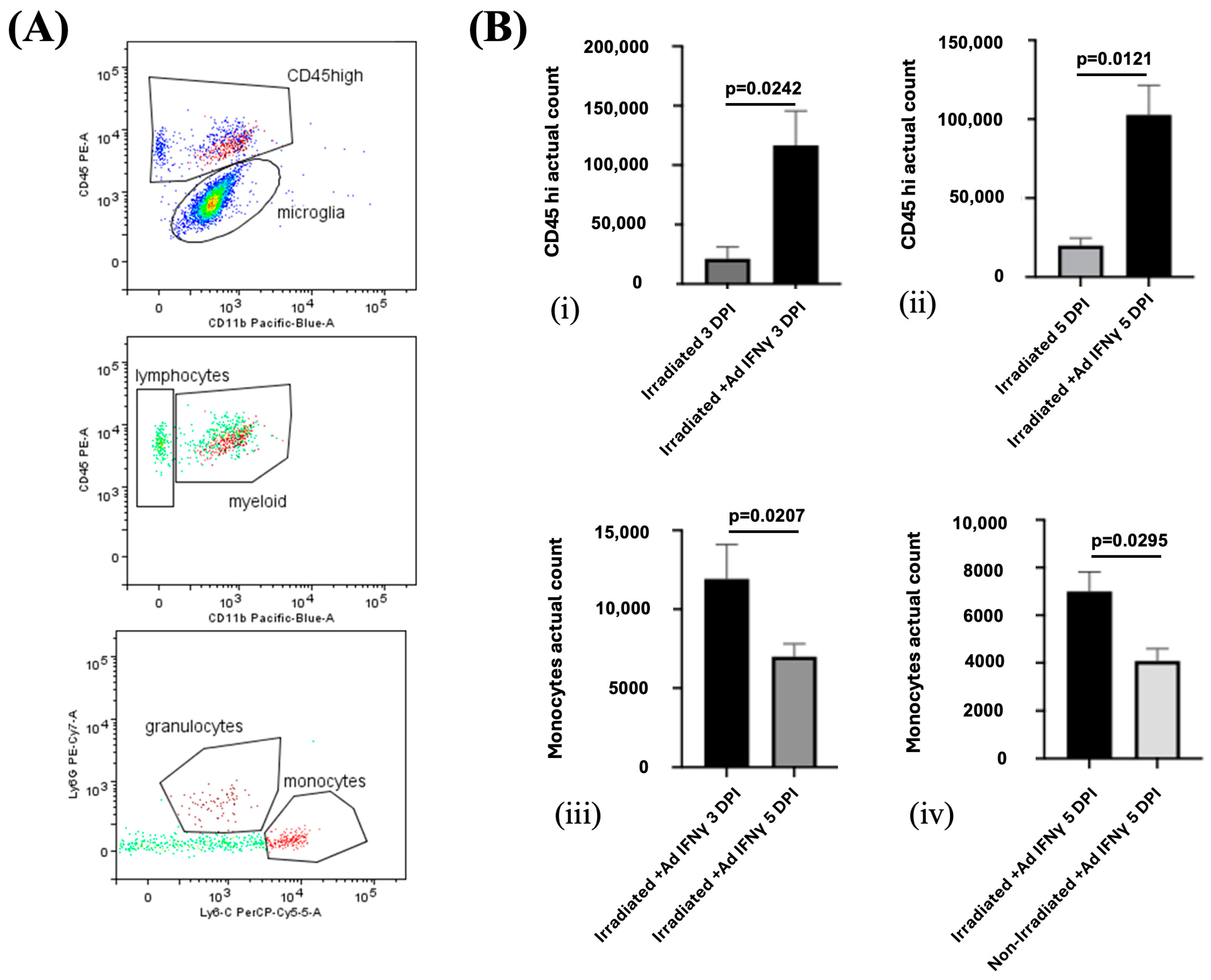 Biomedicines 13 01195 g007