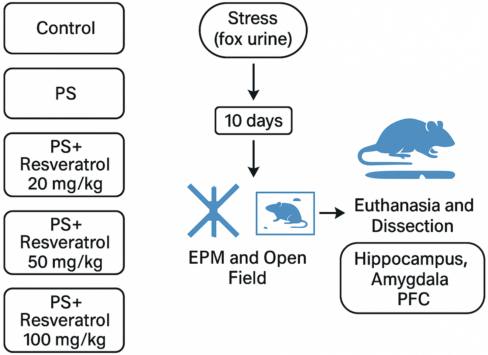 Biomedicines 13 01196 g002