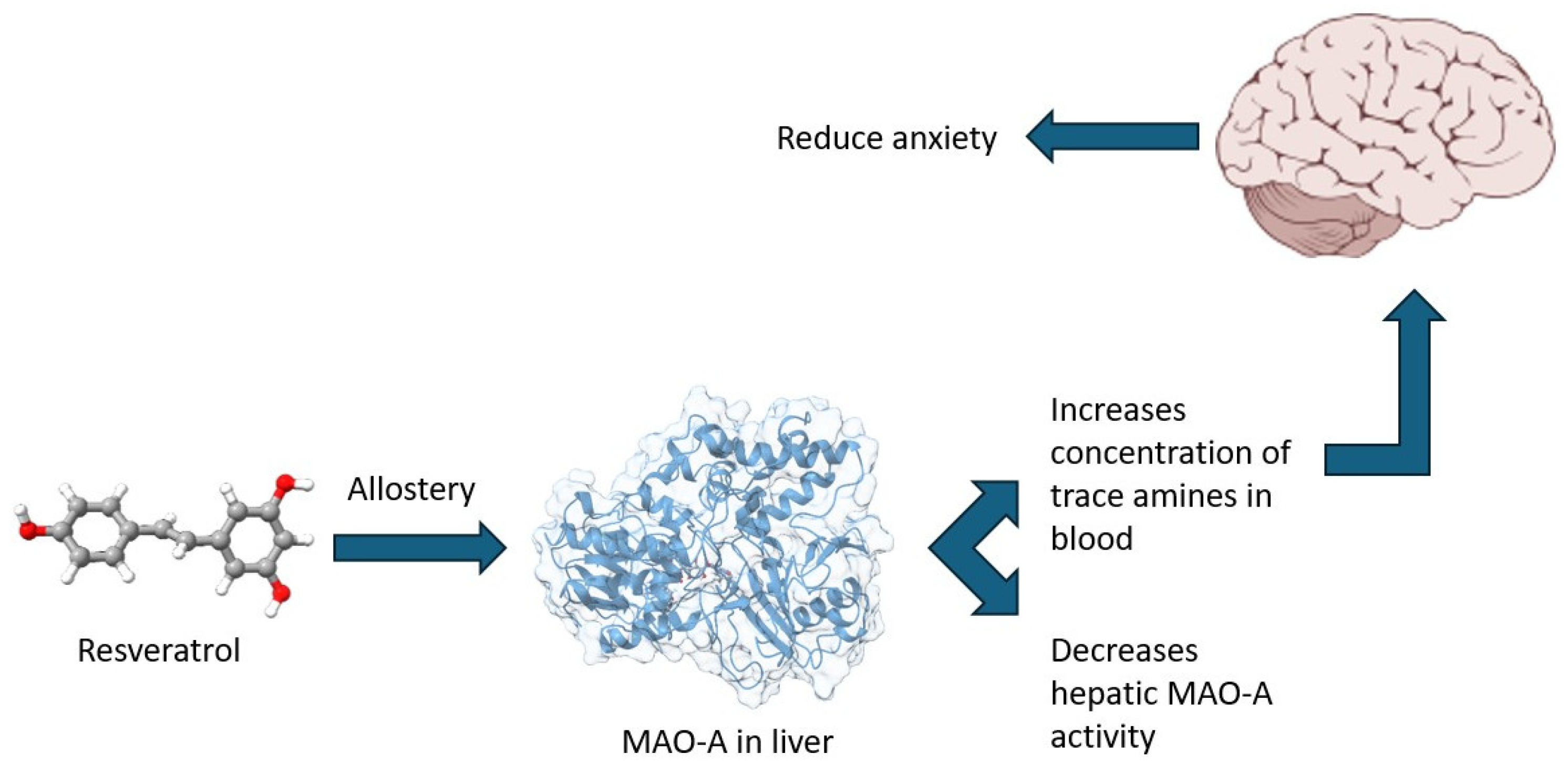 Biomedicines 13 01196 g007