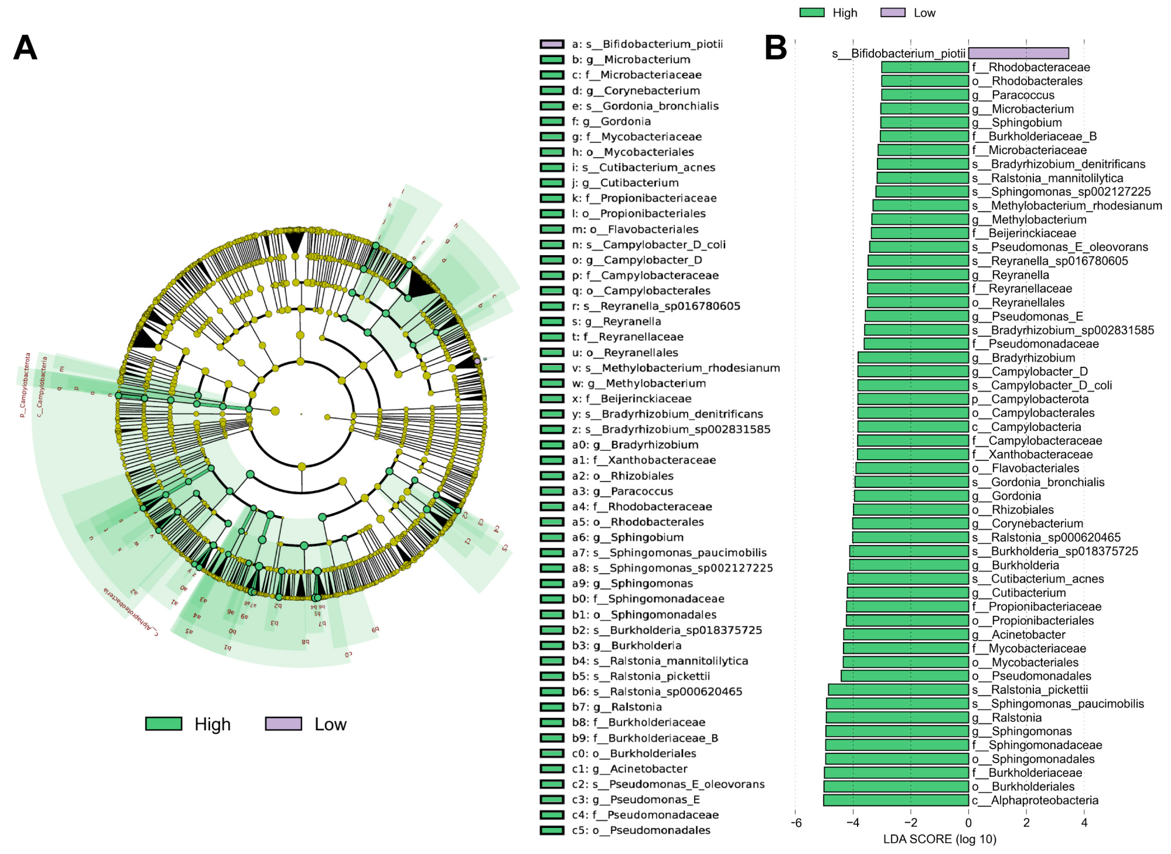 Biomedicines 13 01197 g004