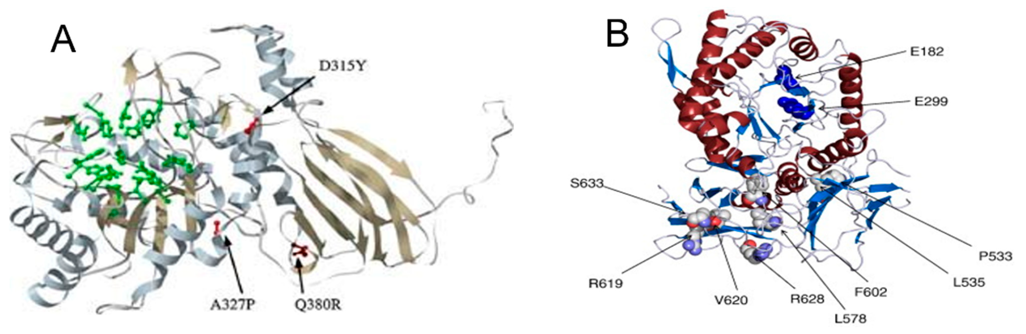 Biomedicines 13 01199 g001