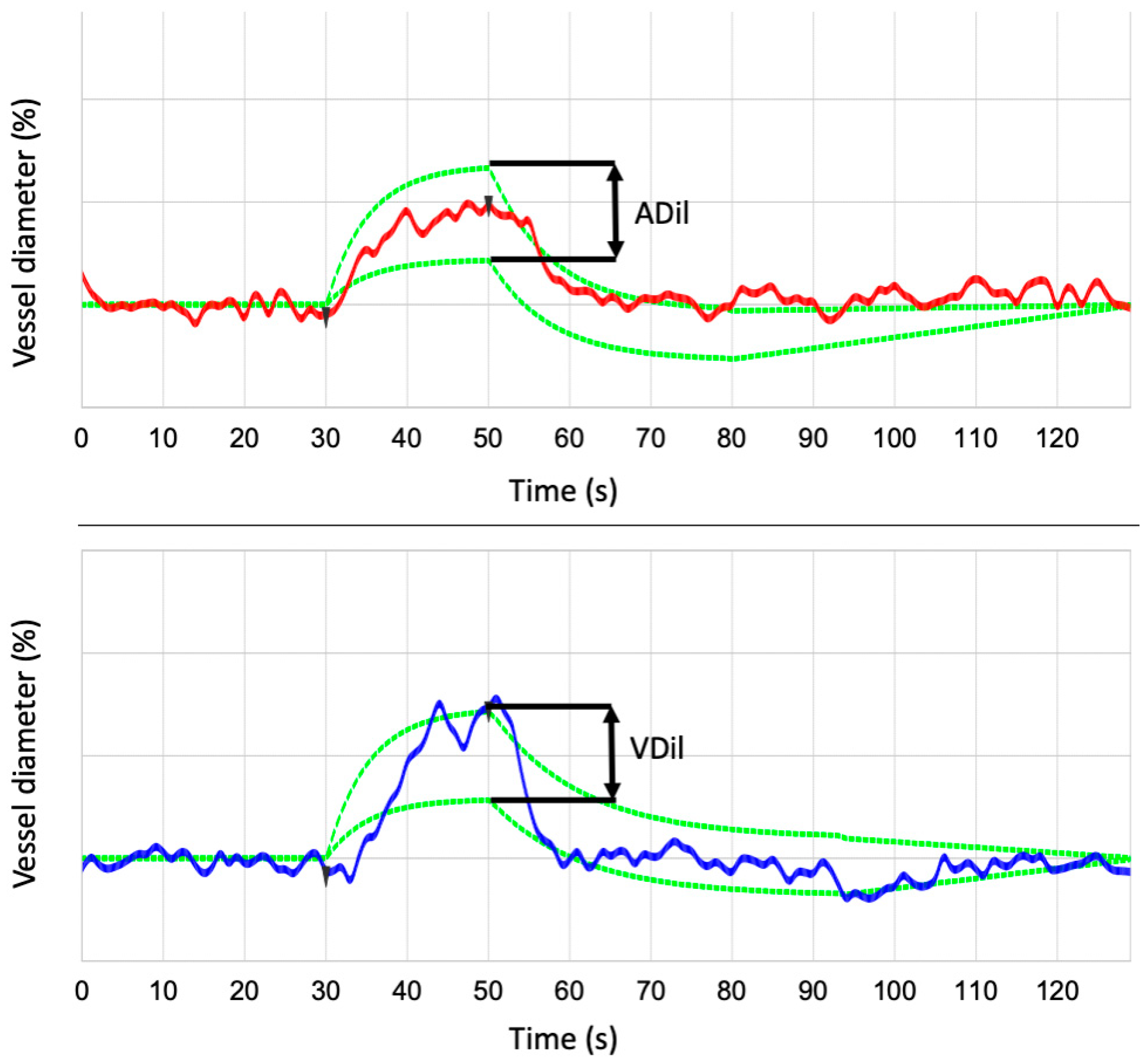 Biomedicines 13 01201 g002 Biomedicines 13 01201 g002