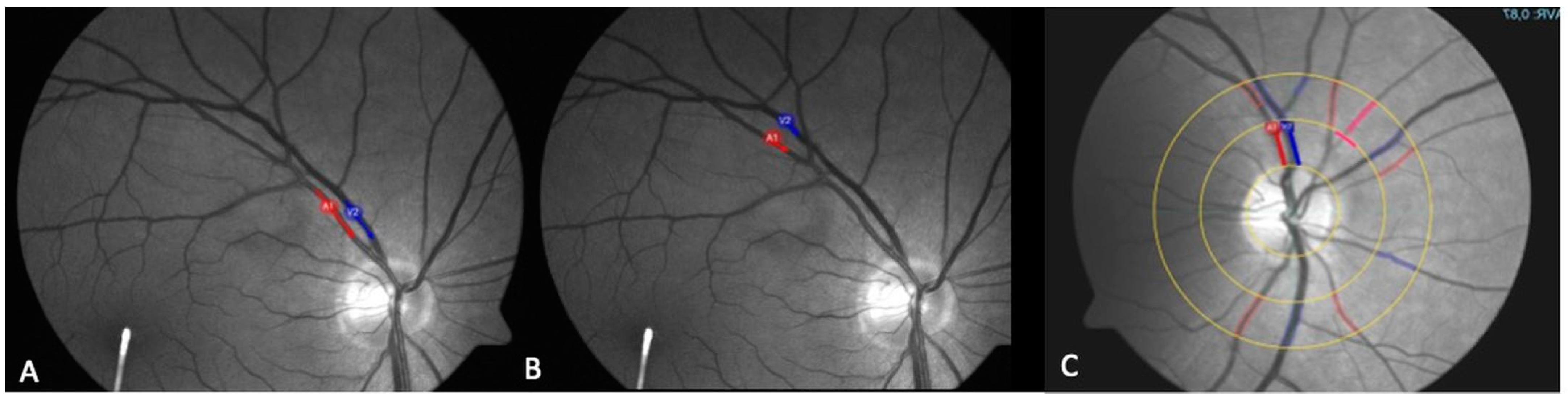 Biomedicines 13 01201 g003 Biomedicines 13 01201 g003