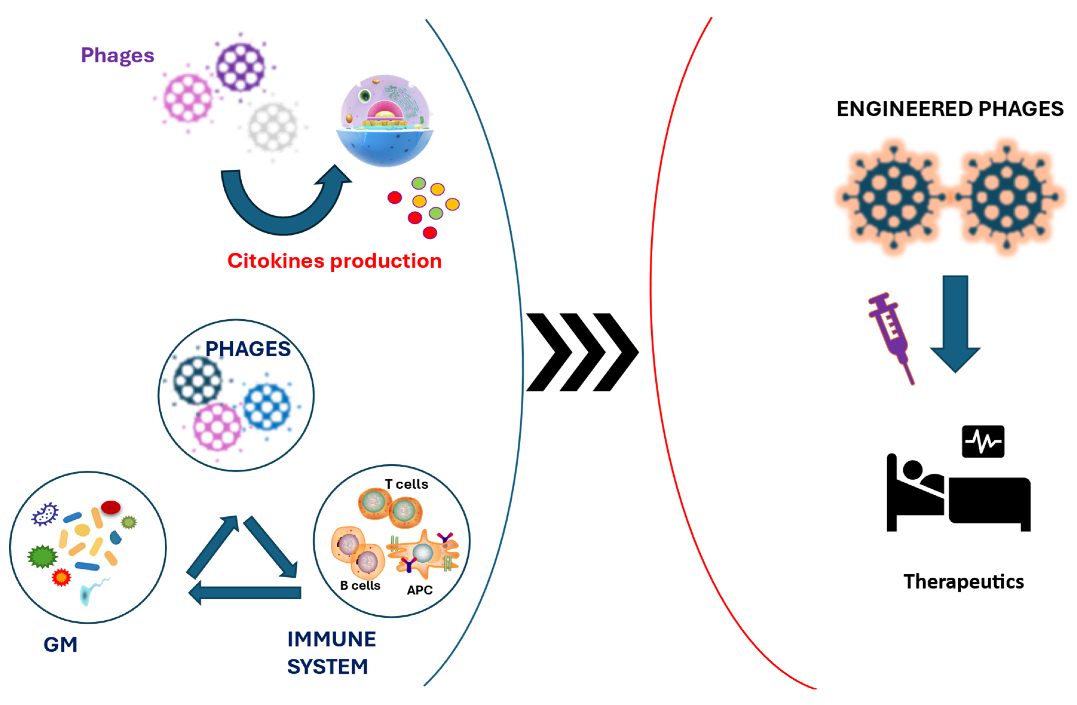 Biomedicines 13 01202 g002 Biomedicines 13 01202 g002