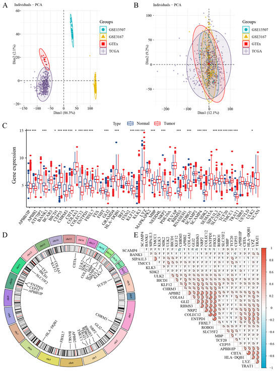 通販生活 ファッション Between Links Genetic the Investigating Immune Profiles Cell 洋書