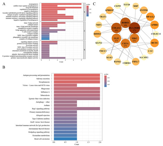 Investigating the Genetic Links Between Immune Cell Profiles