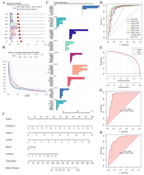 A distinct subset of urothelial cells with enhanced EMT