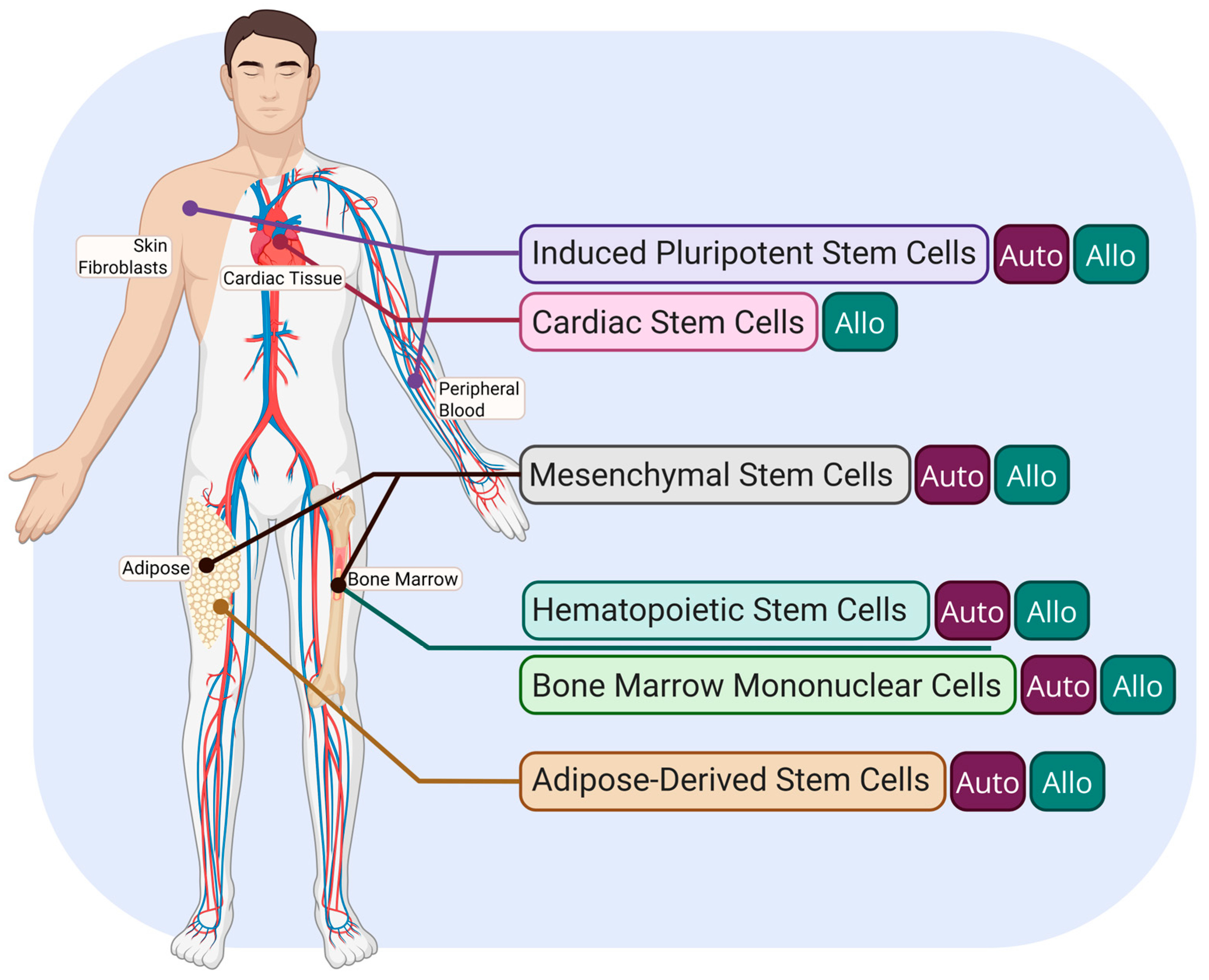 Biomedicines 13 01209 g001