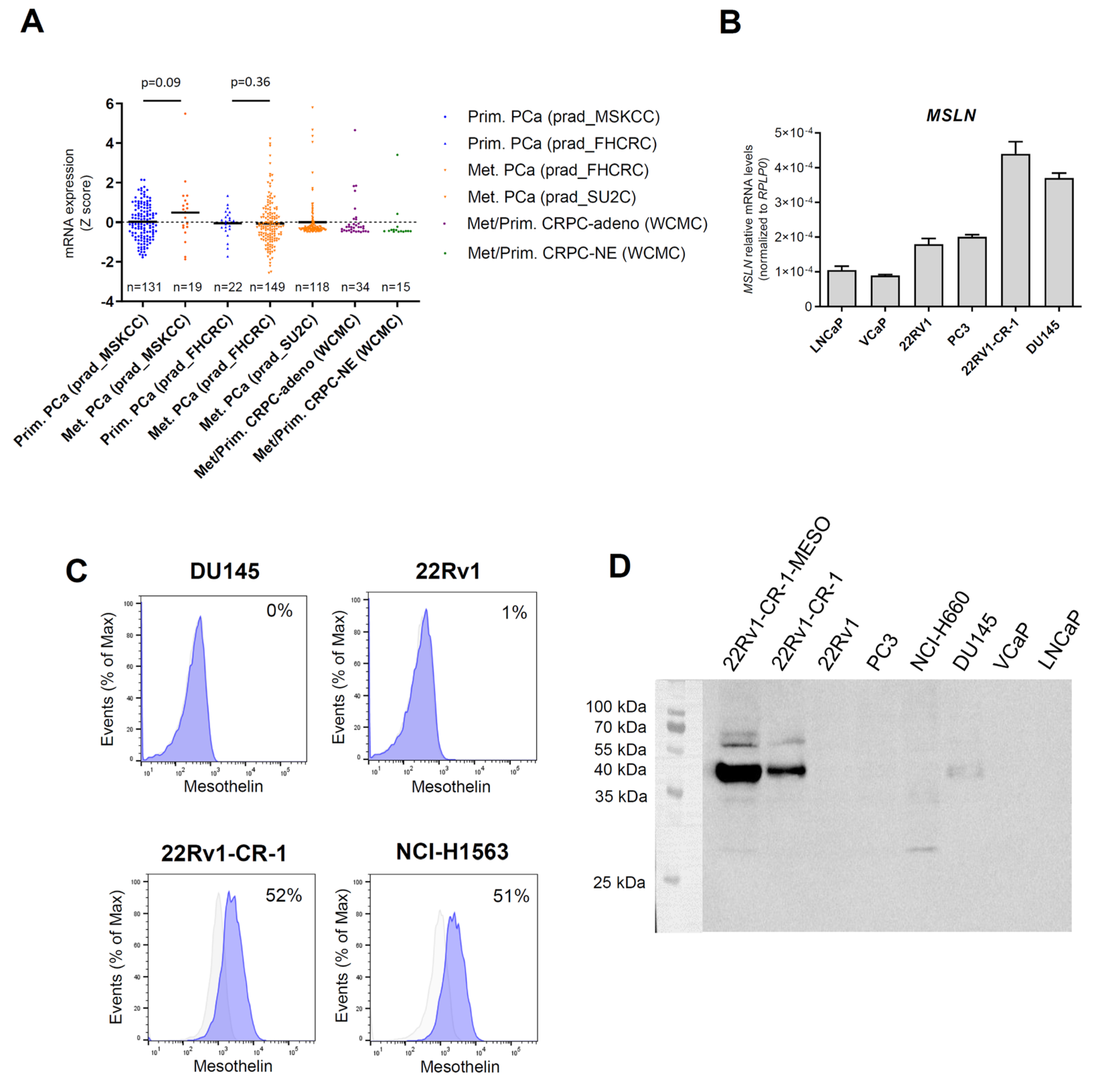 Biomedicines 13 01215 g001