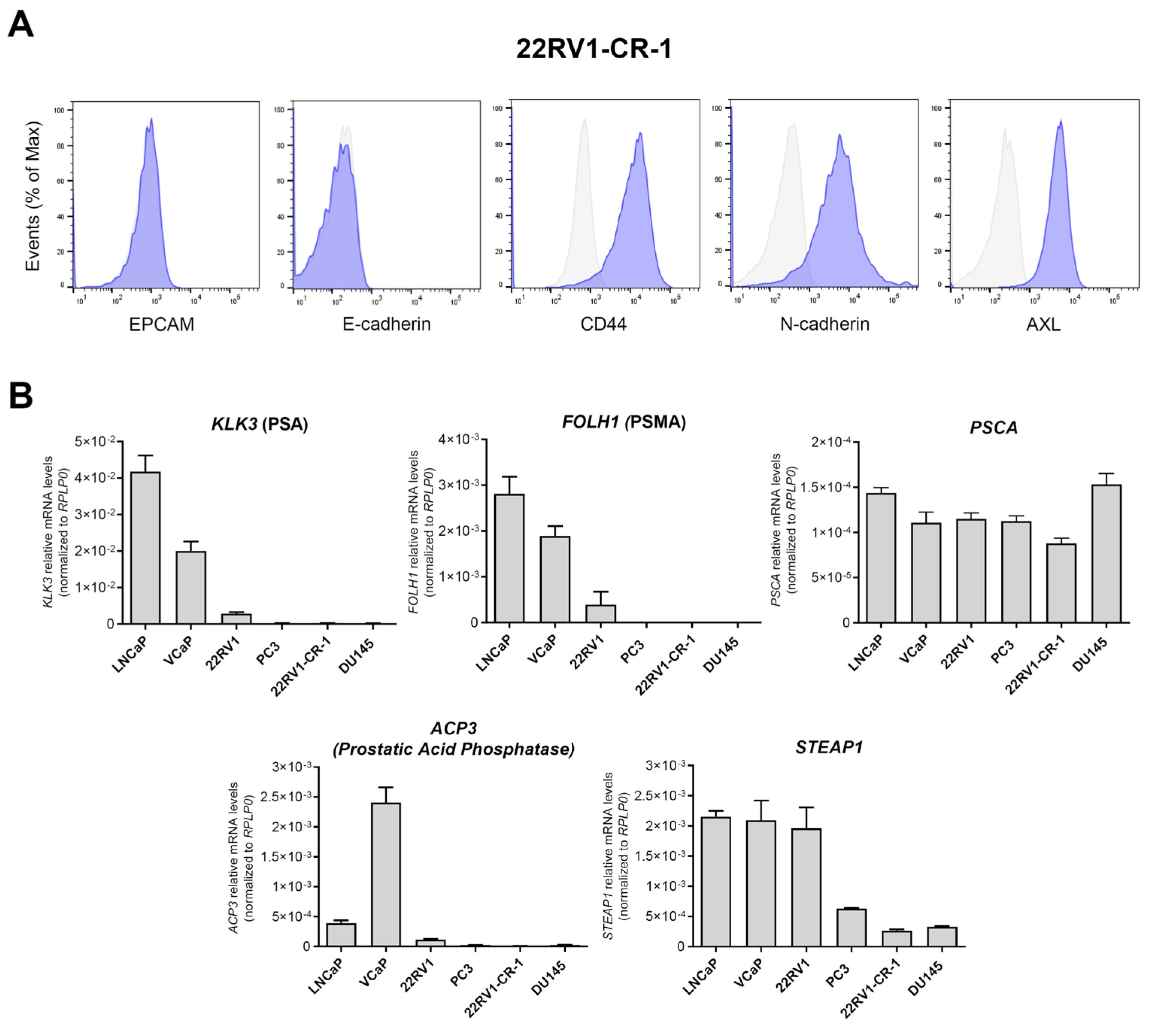 Biomedicines 13 01215 g002