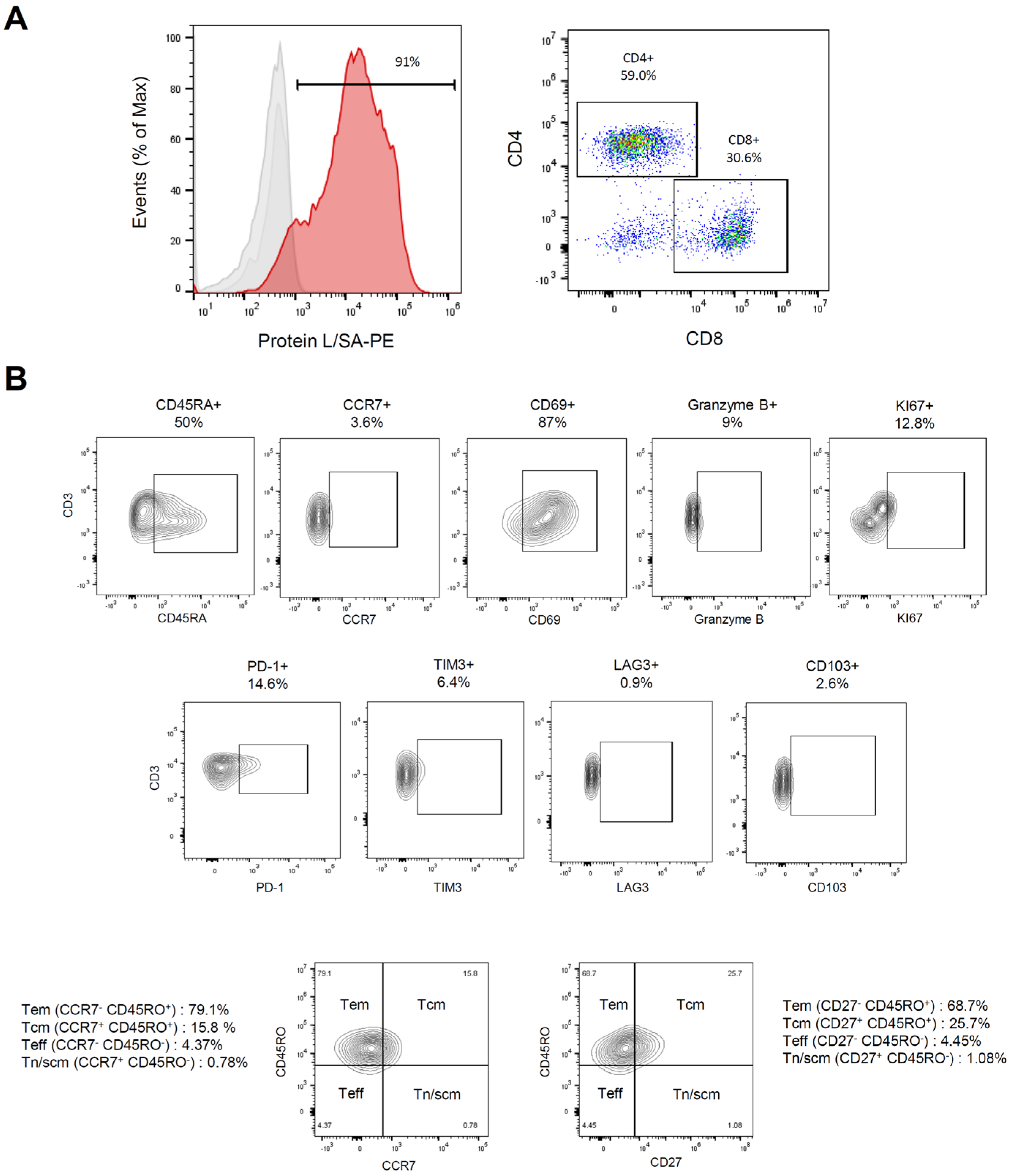 Biomedicines 13 01215 g003