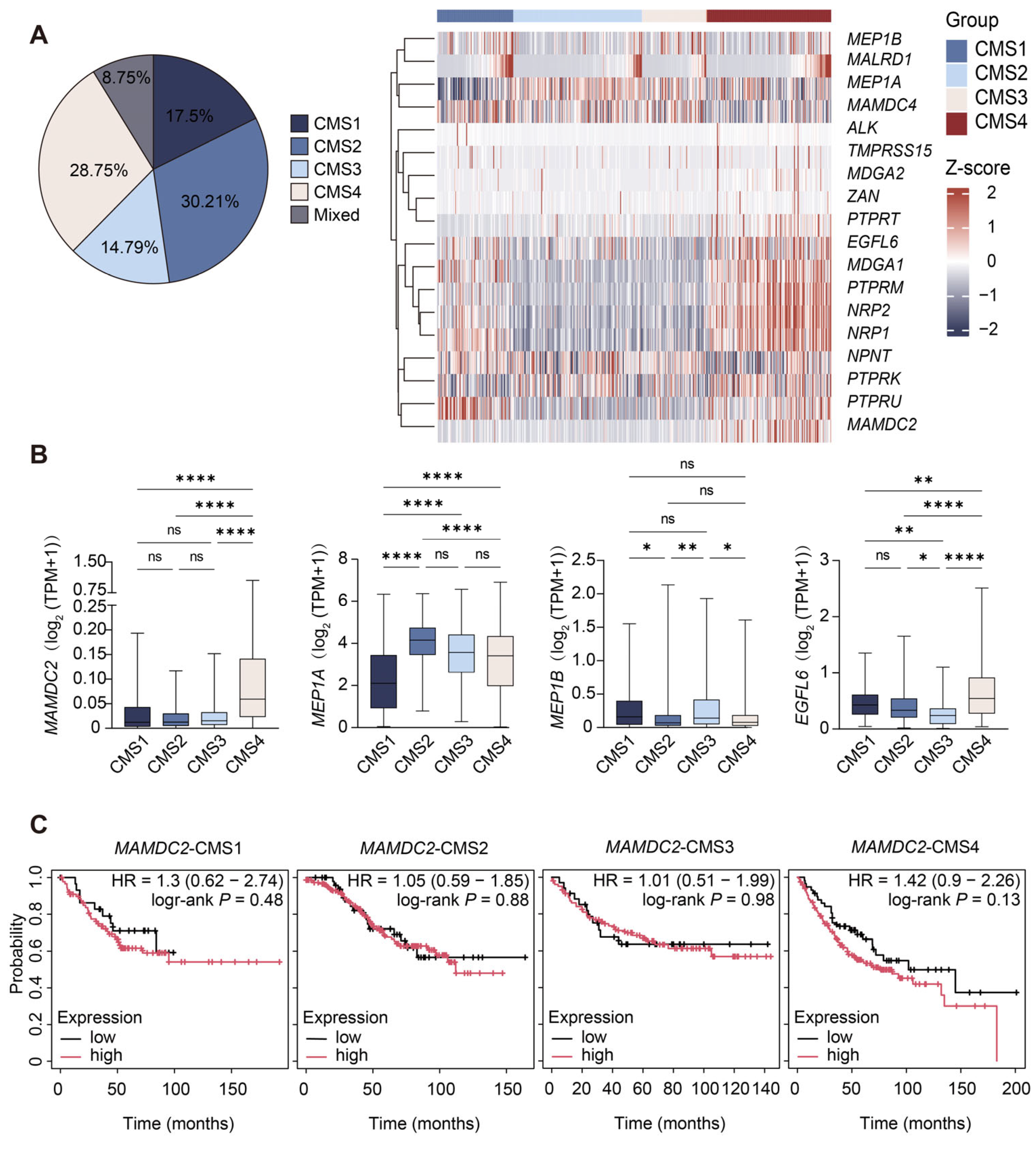 Biomedicines 13 01217 g002