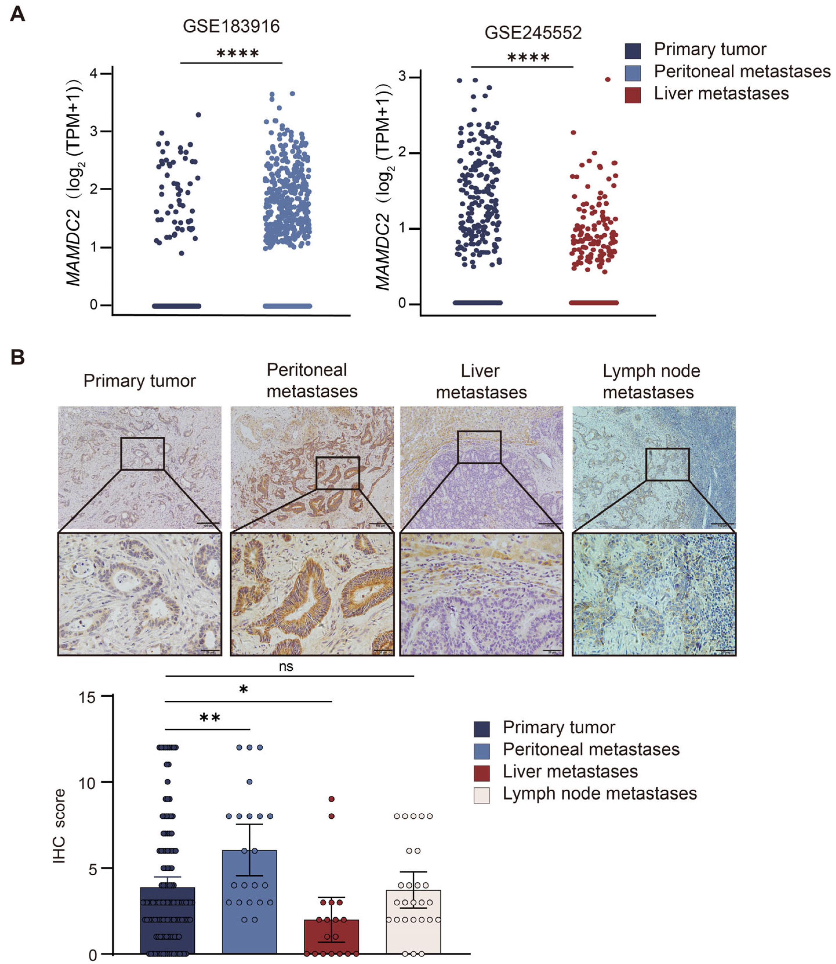 Biomedicines 13 01217 g004