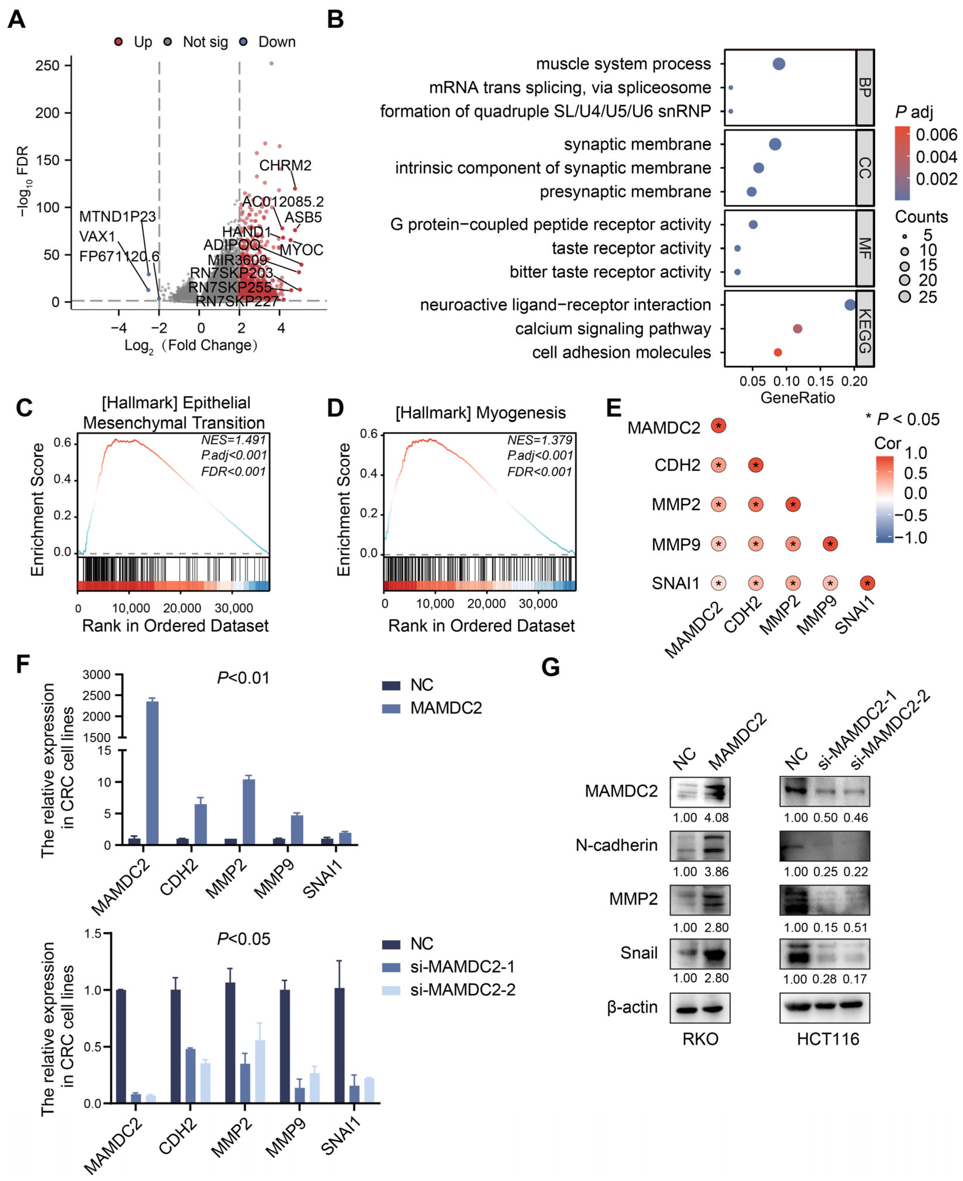 Biomedicines 13 01217 g005