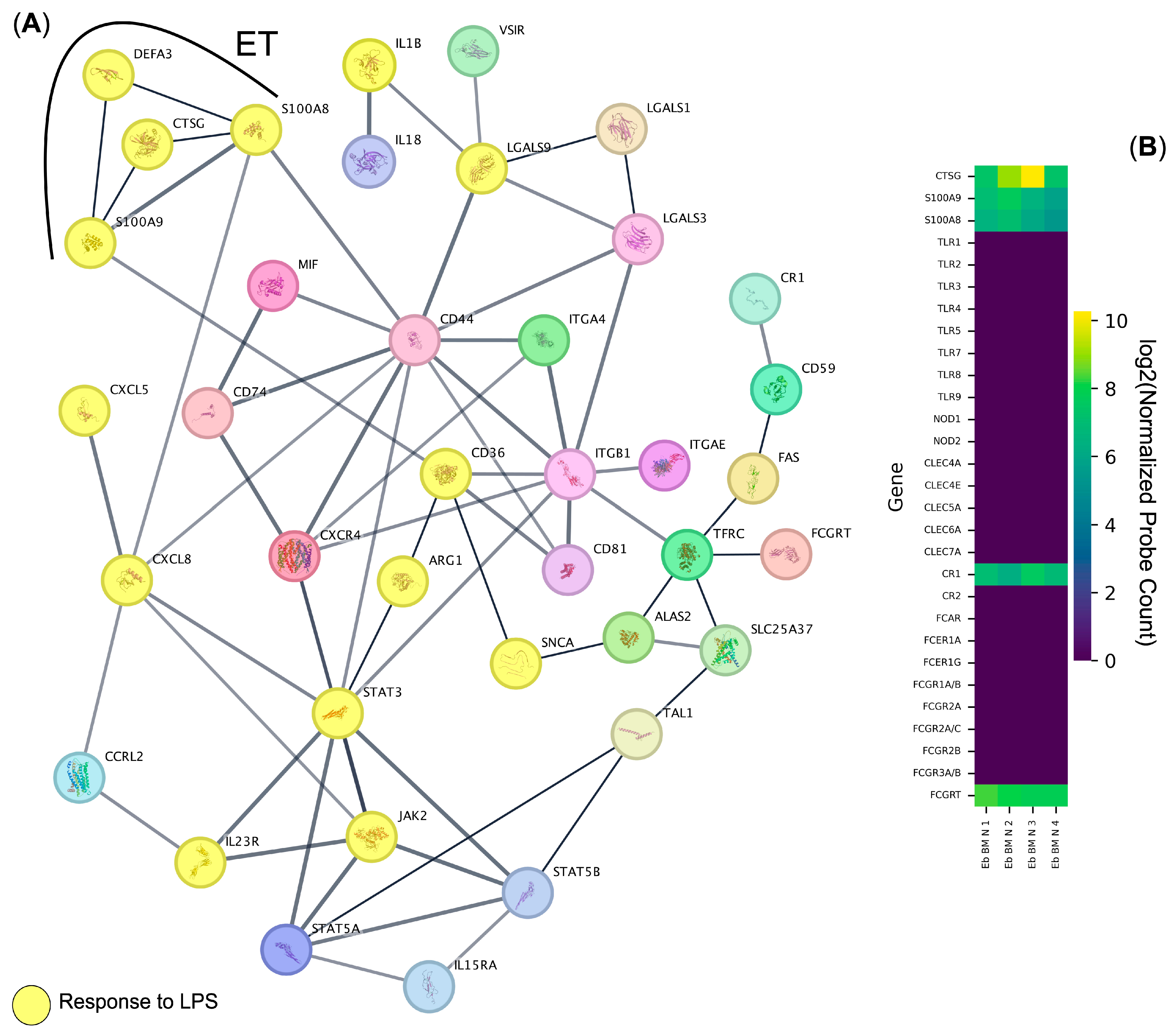 Biomedicines 13 01218 g001 Biomedicines 13 01218 g001