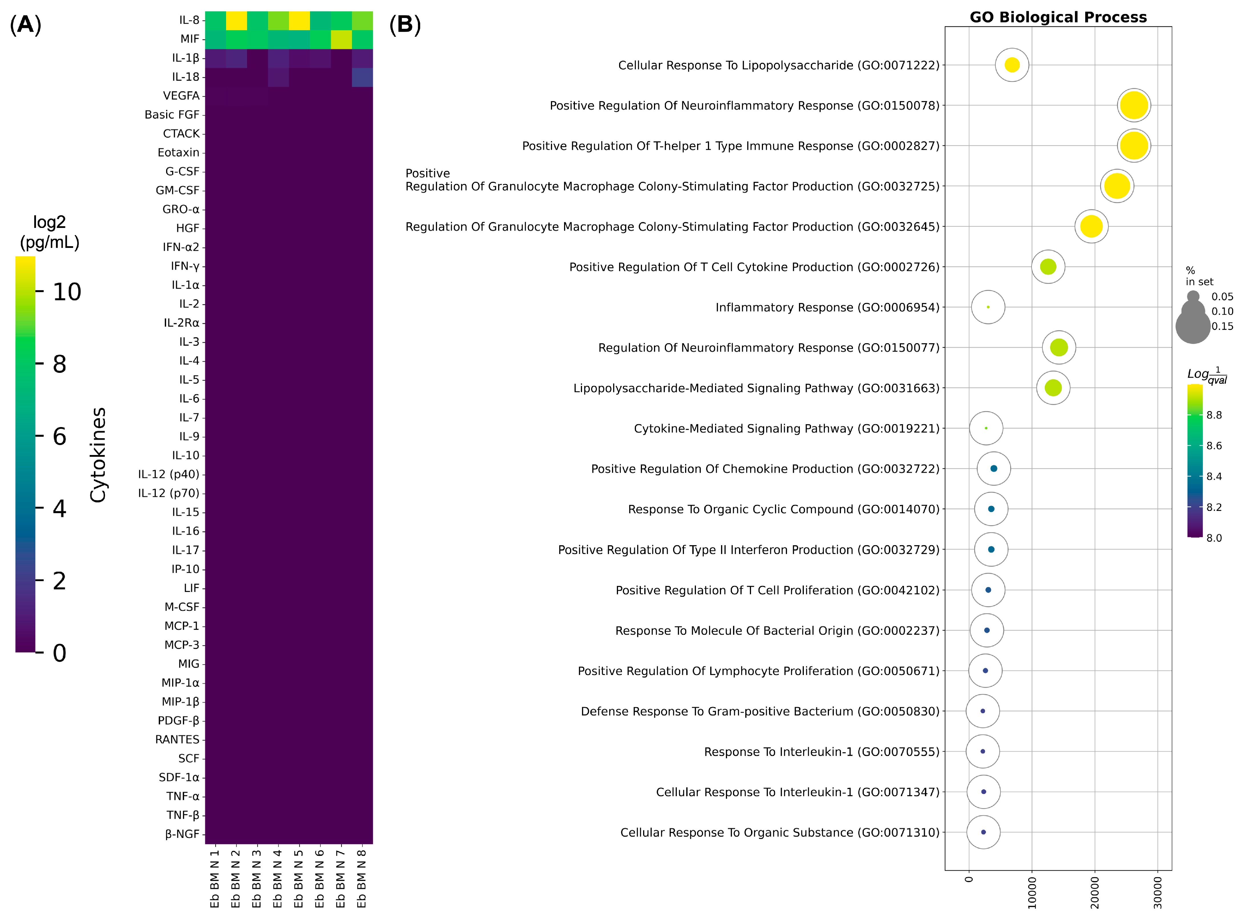 Biomedicines 13 01218 g002 Biomedicines 13 01218 g002