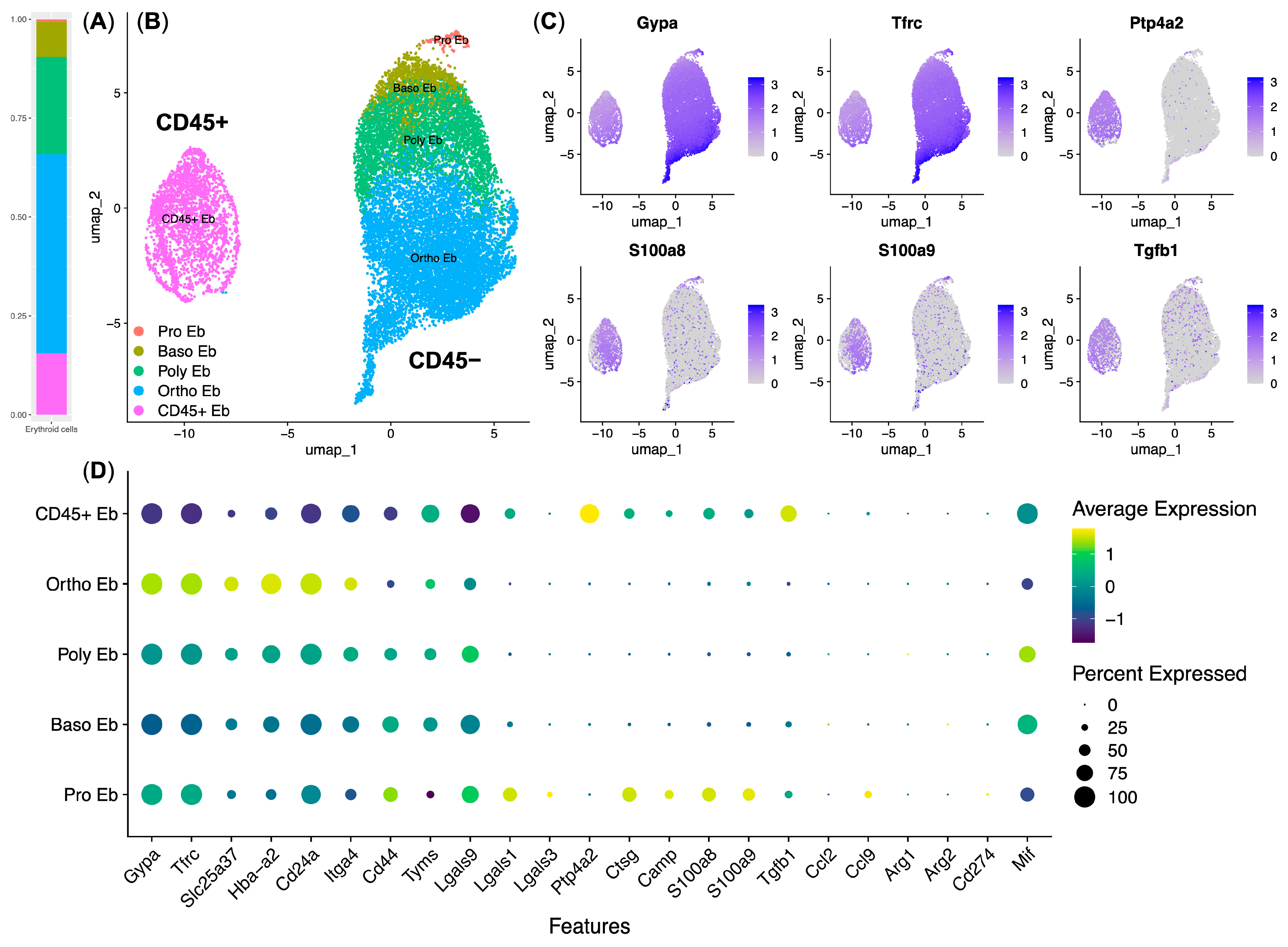 Biomedicines 13 01218 g003 Biomedicines 13 01218 g003