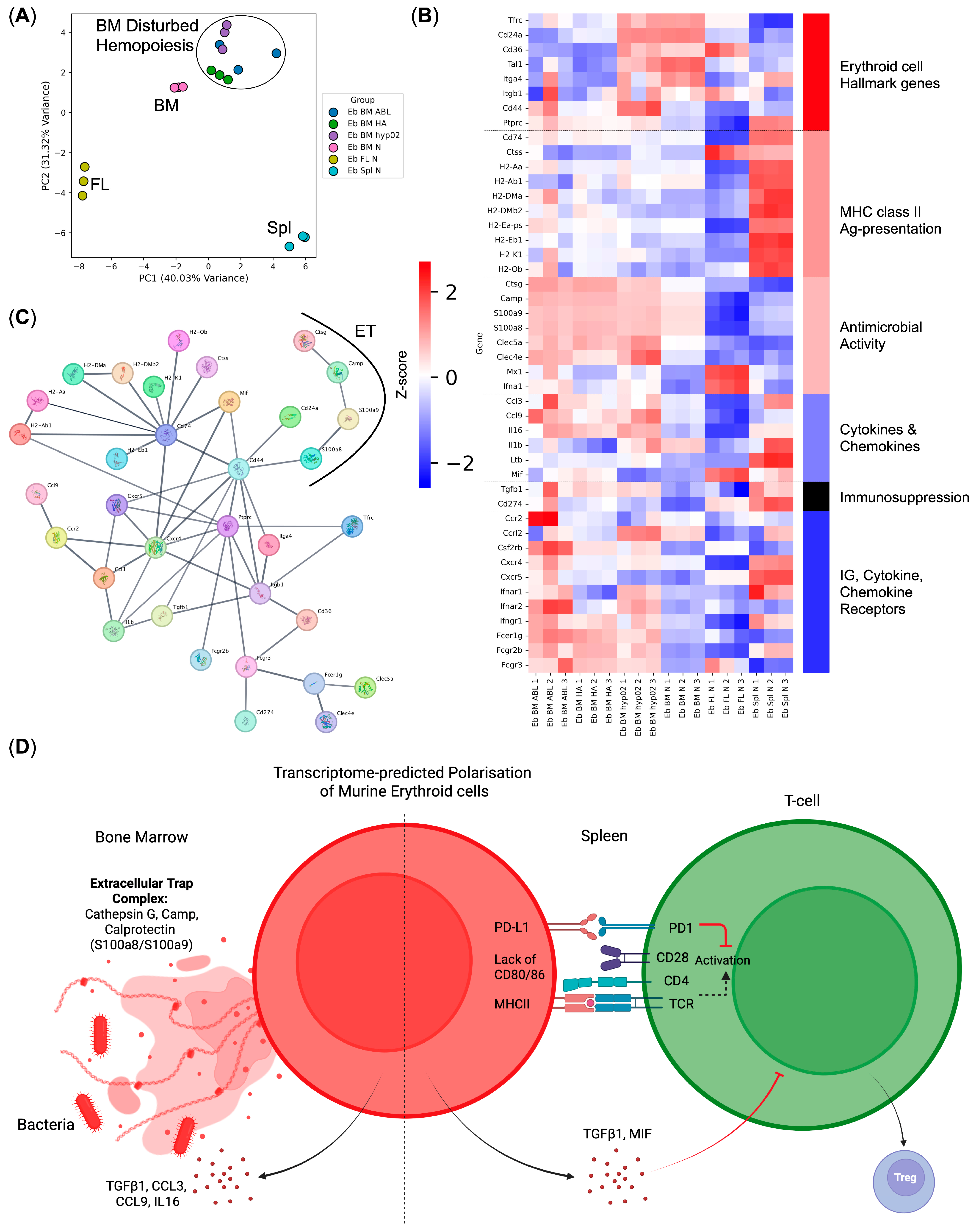 Biomedicines 13 01218 g004 Biomedicines 13 01218 g004