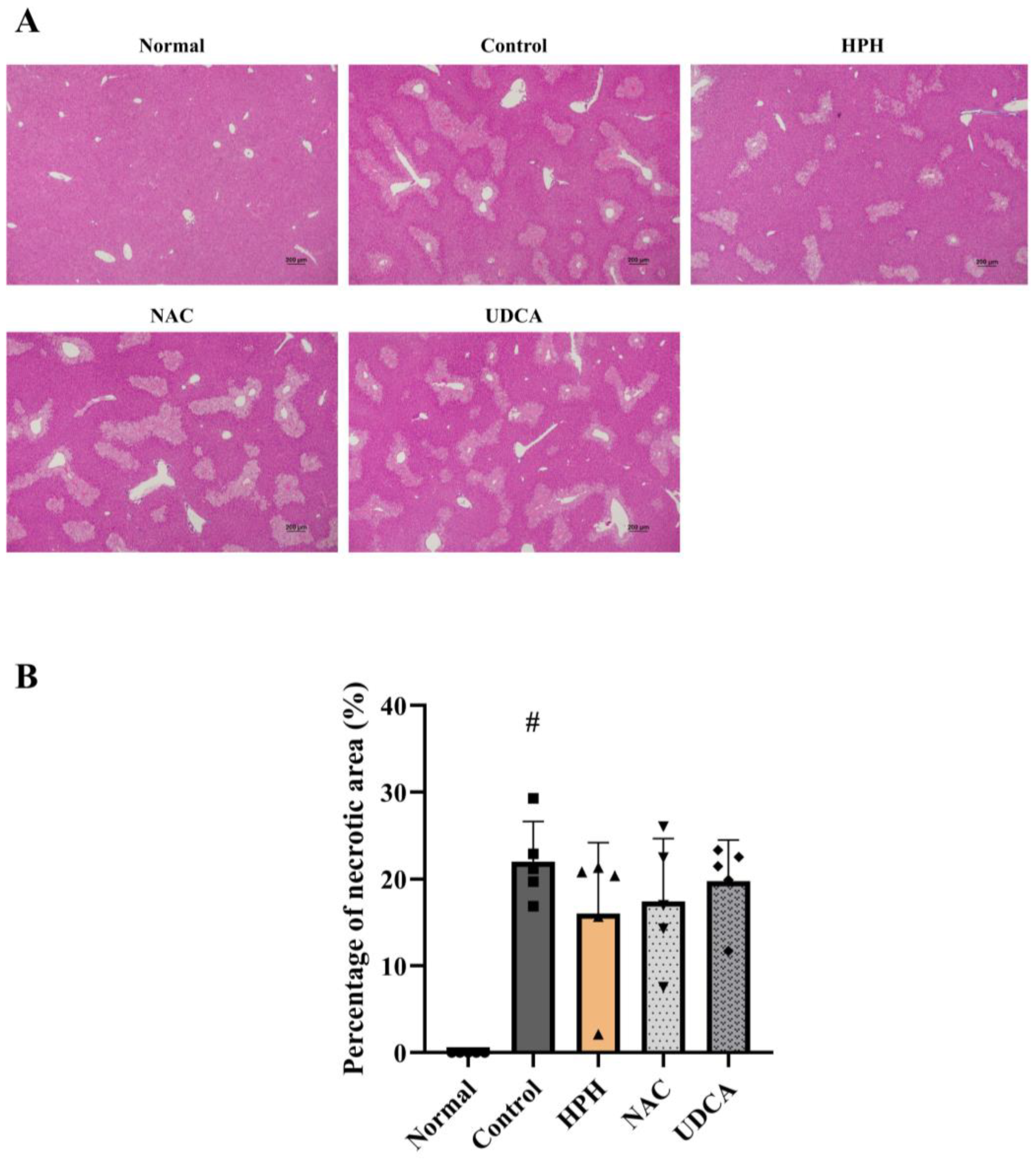Biomedicines 13 01219 g002