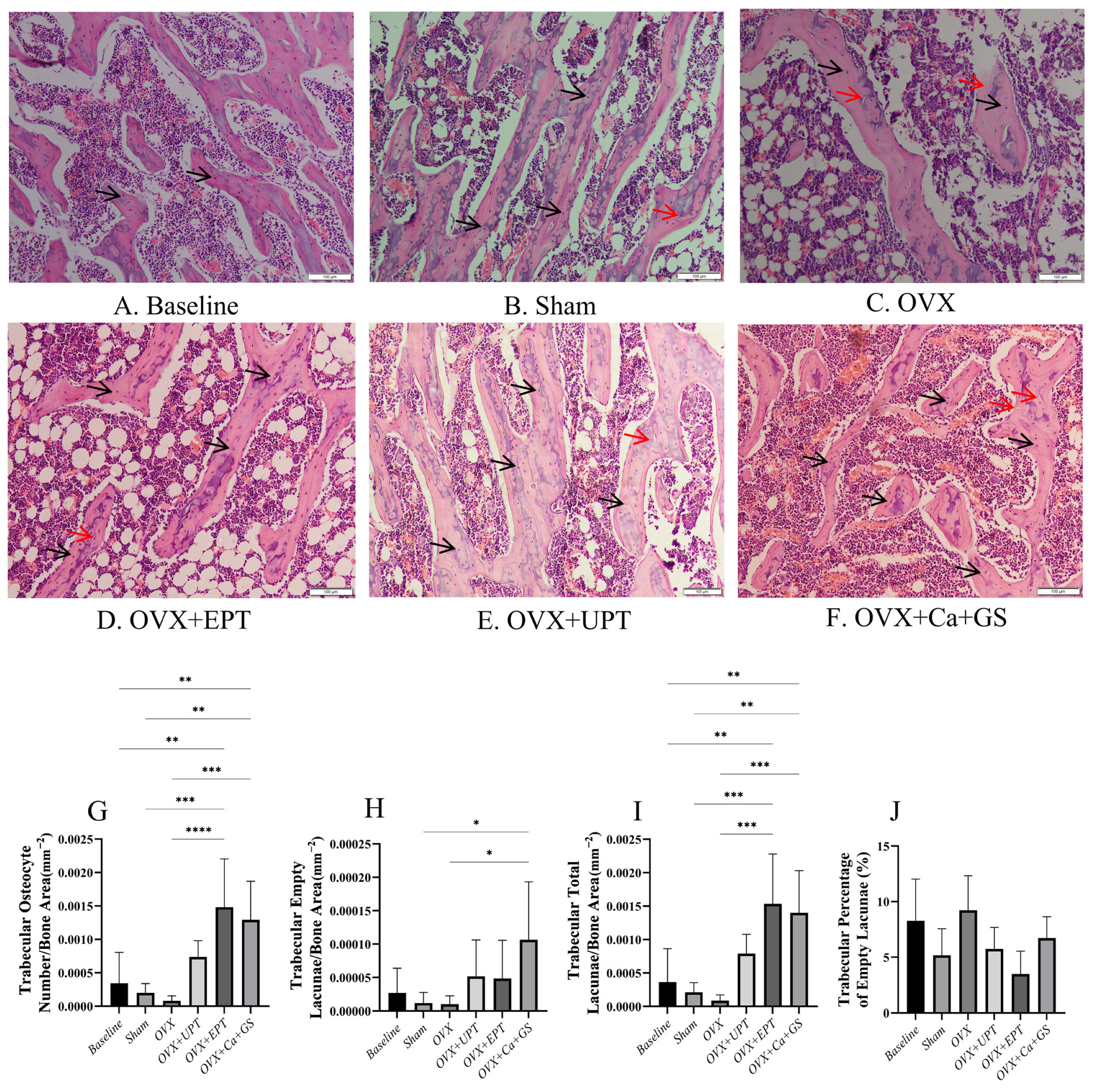 Biomedicines 13 01220 g001