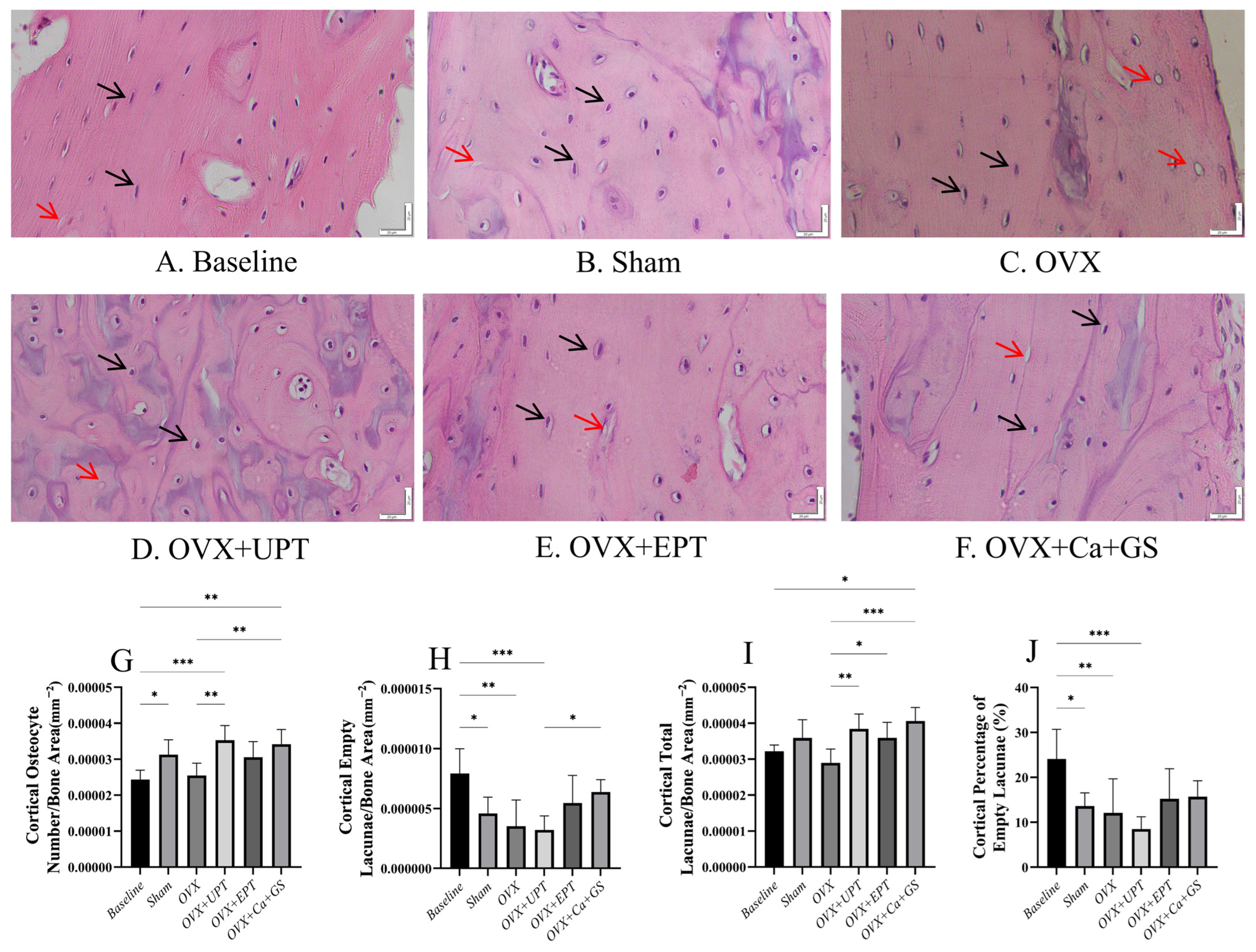 Biomedicines 13 01220 g002
