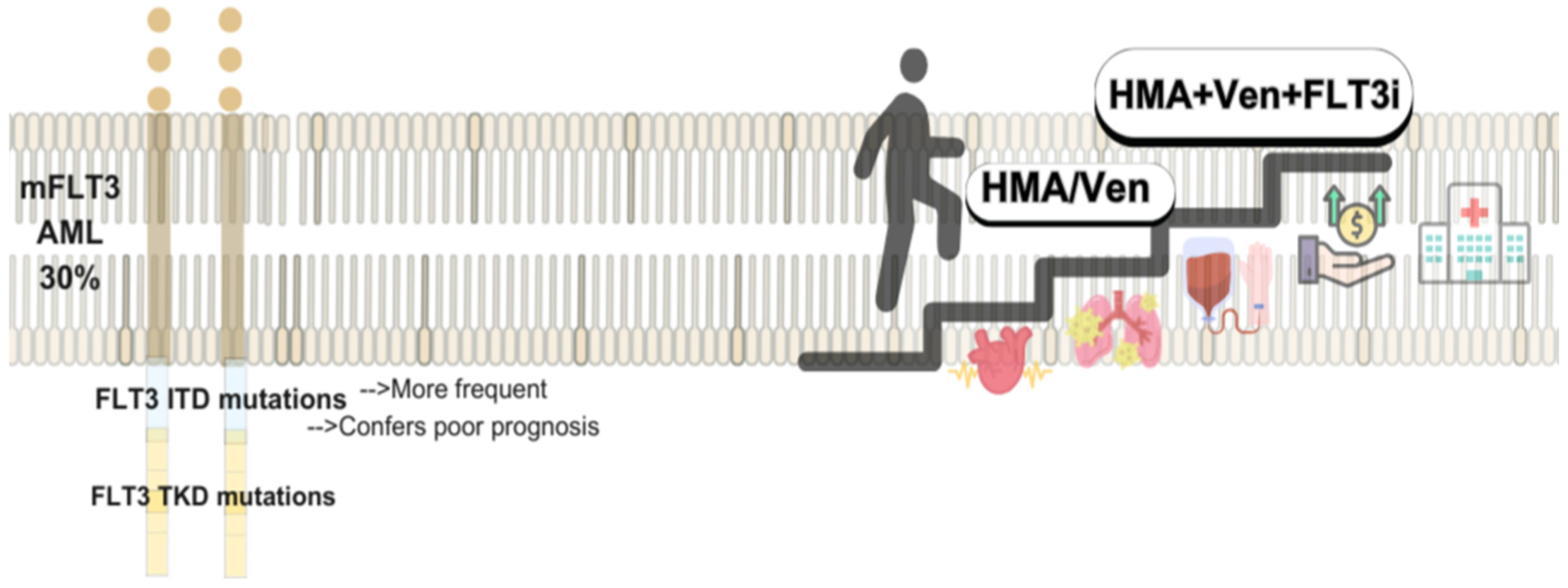 Biomedicines 13 01221 g002