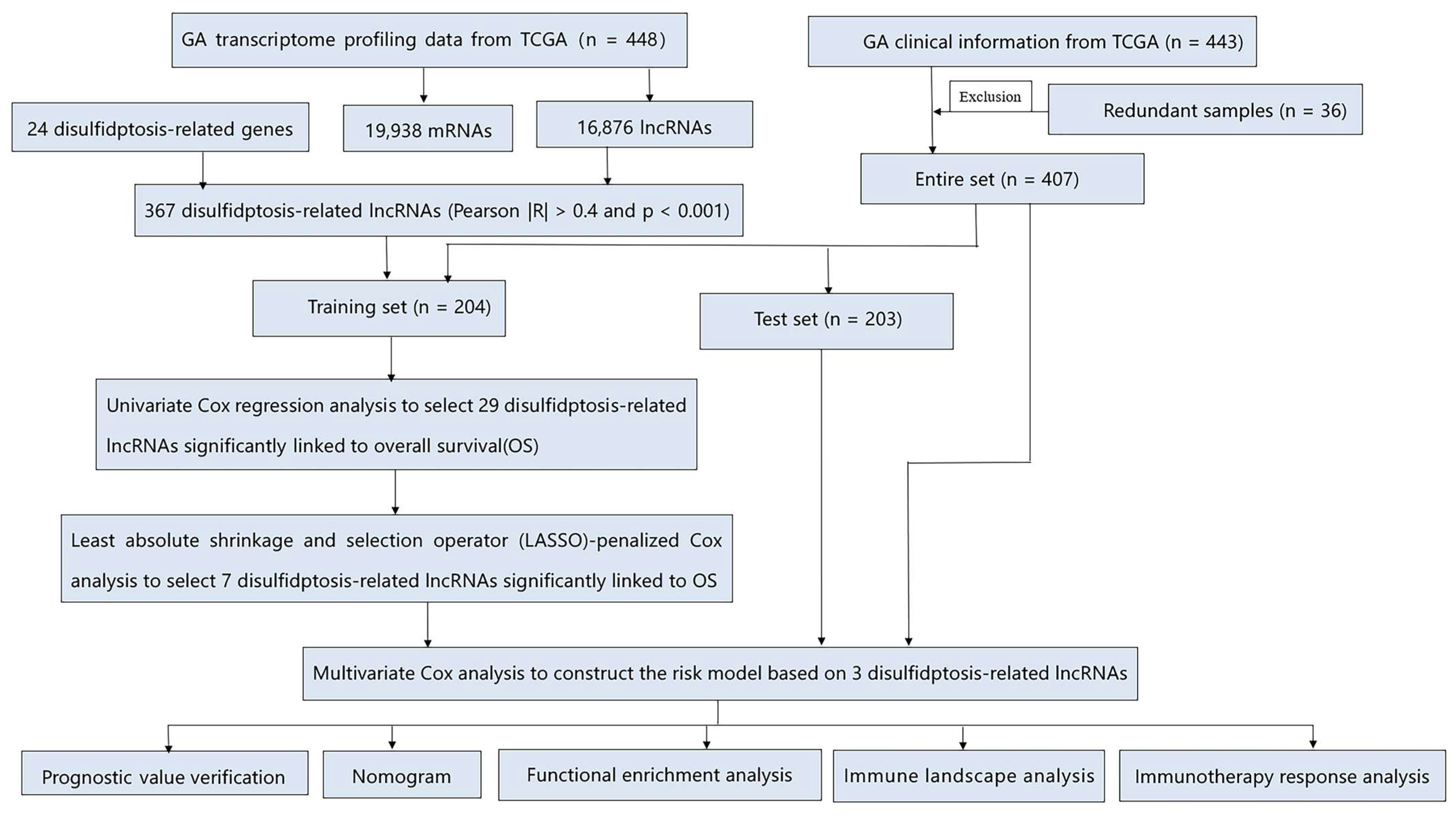 Biomedicines 13 01224 g001