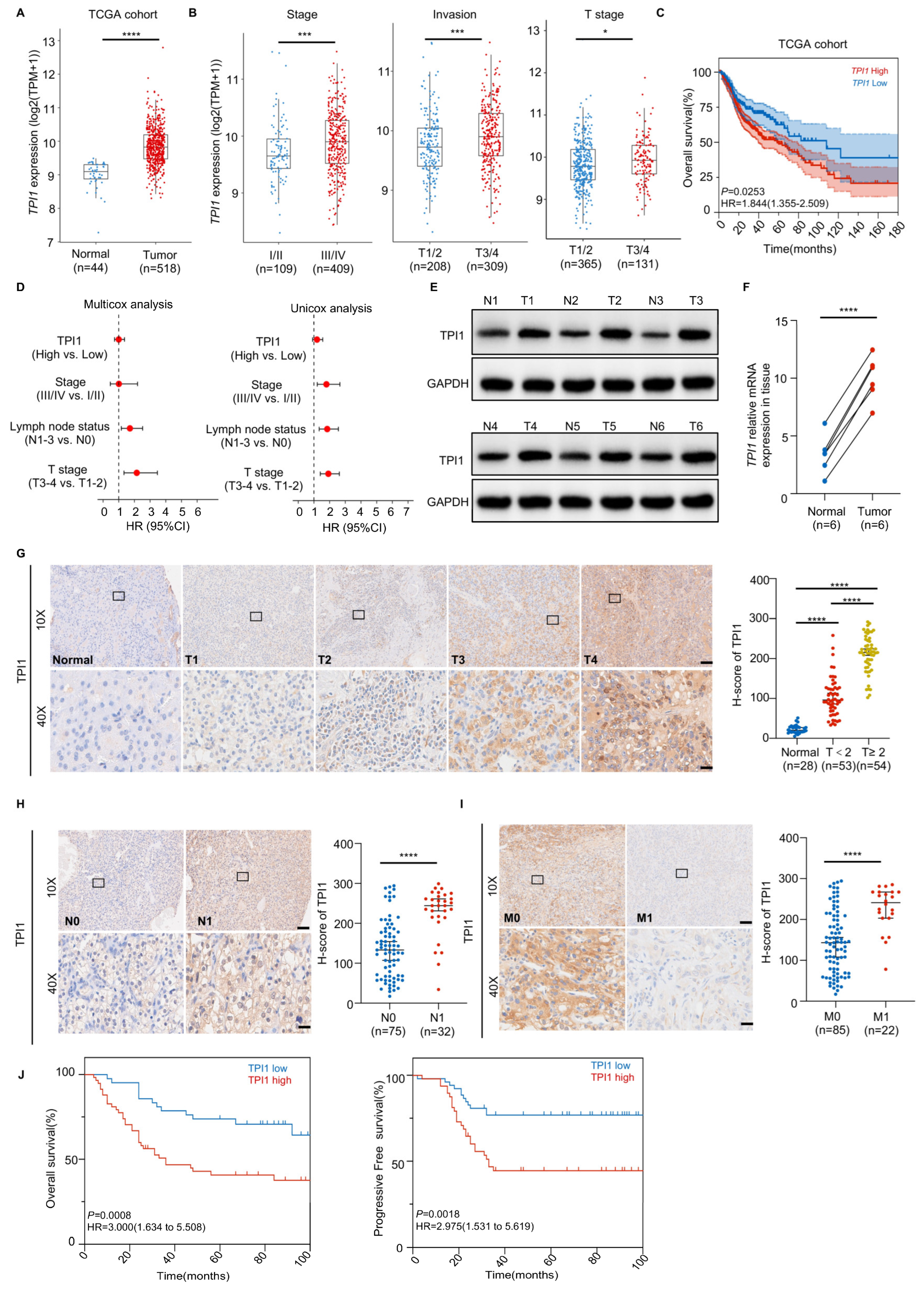 Biomedicines 13 01225 g001 Biomedicines 13 01225 g001