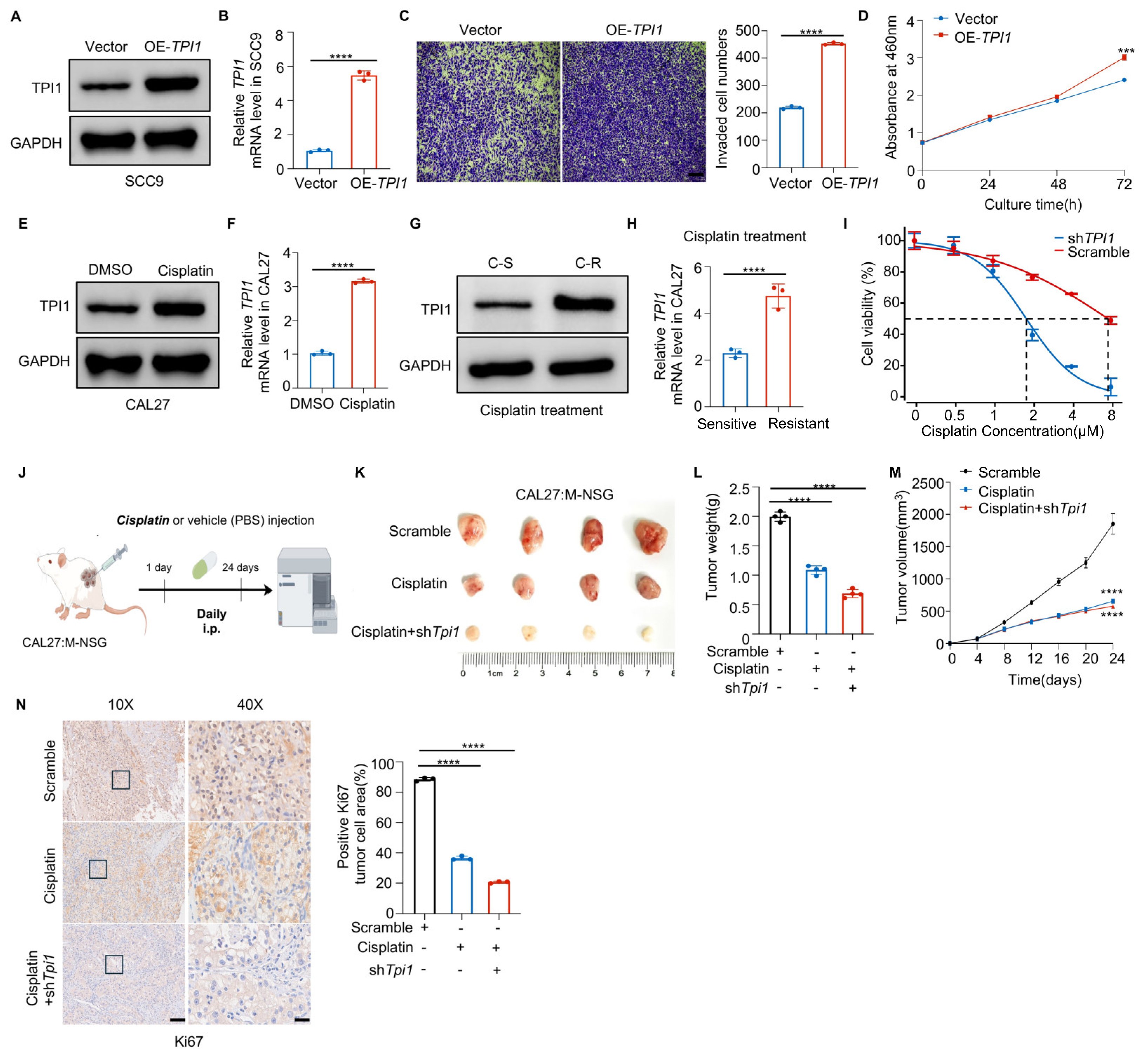 Biomedicines 13 01225 g003 Biomedicines 13 01225 g003