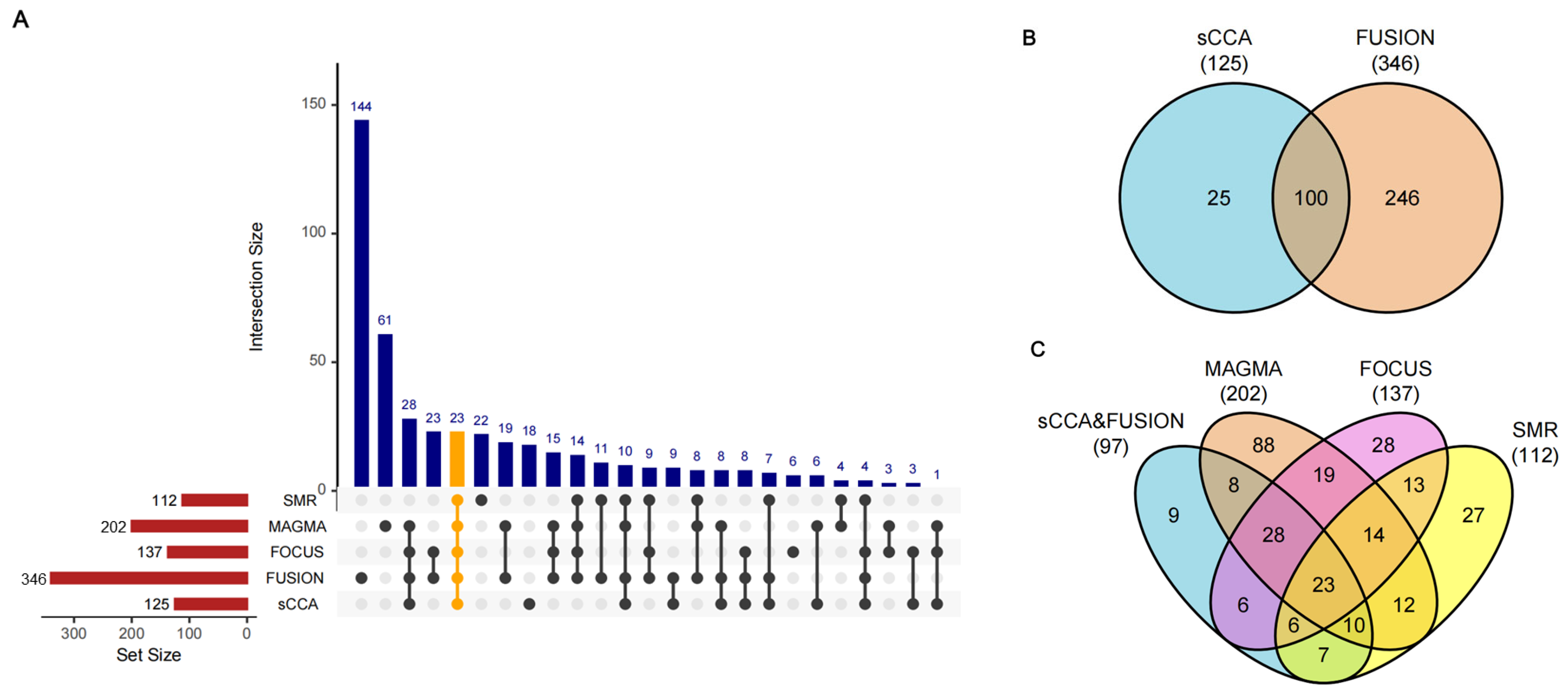 Biomedicines 13 01231 g002