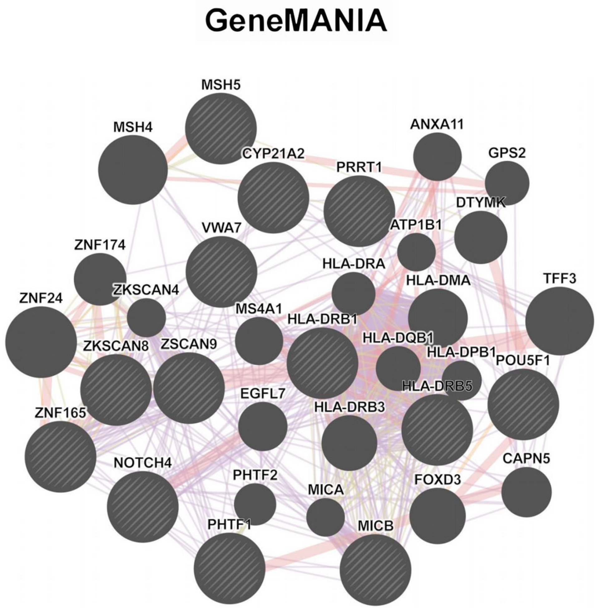 Biomedicines 13 01231 g004