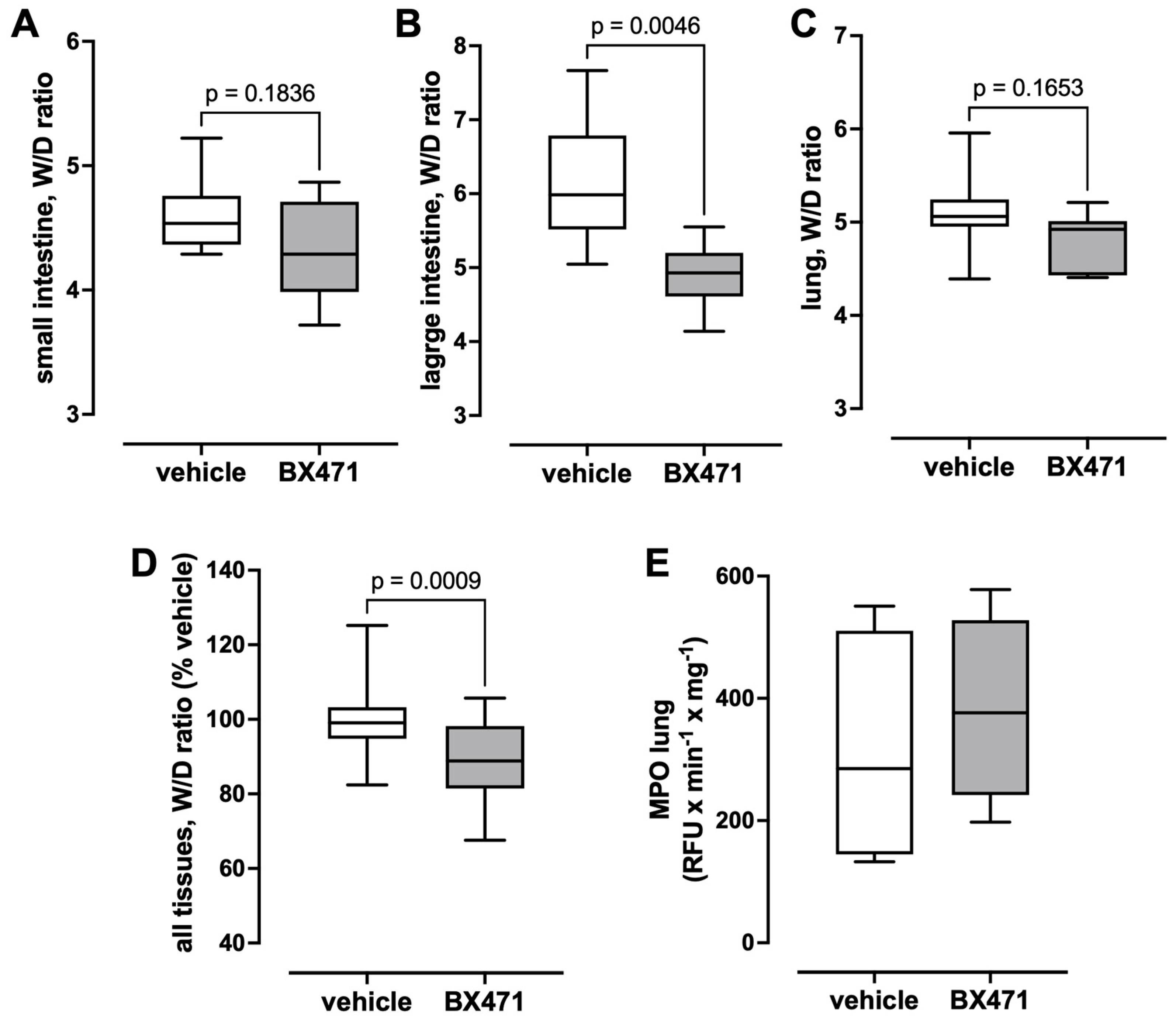 Biomedicines 13 01241 g004