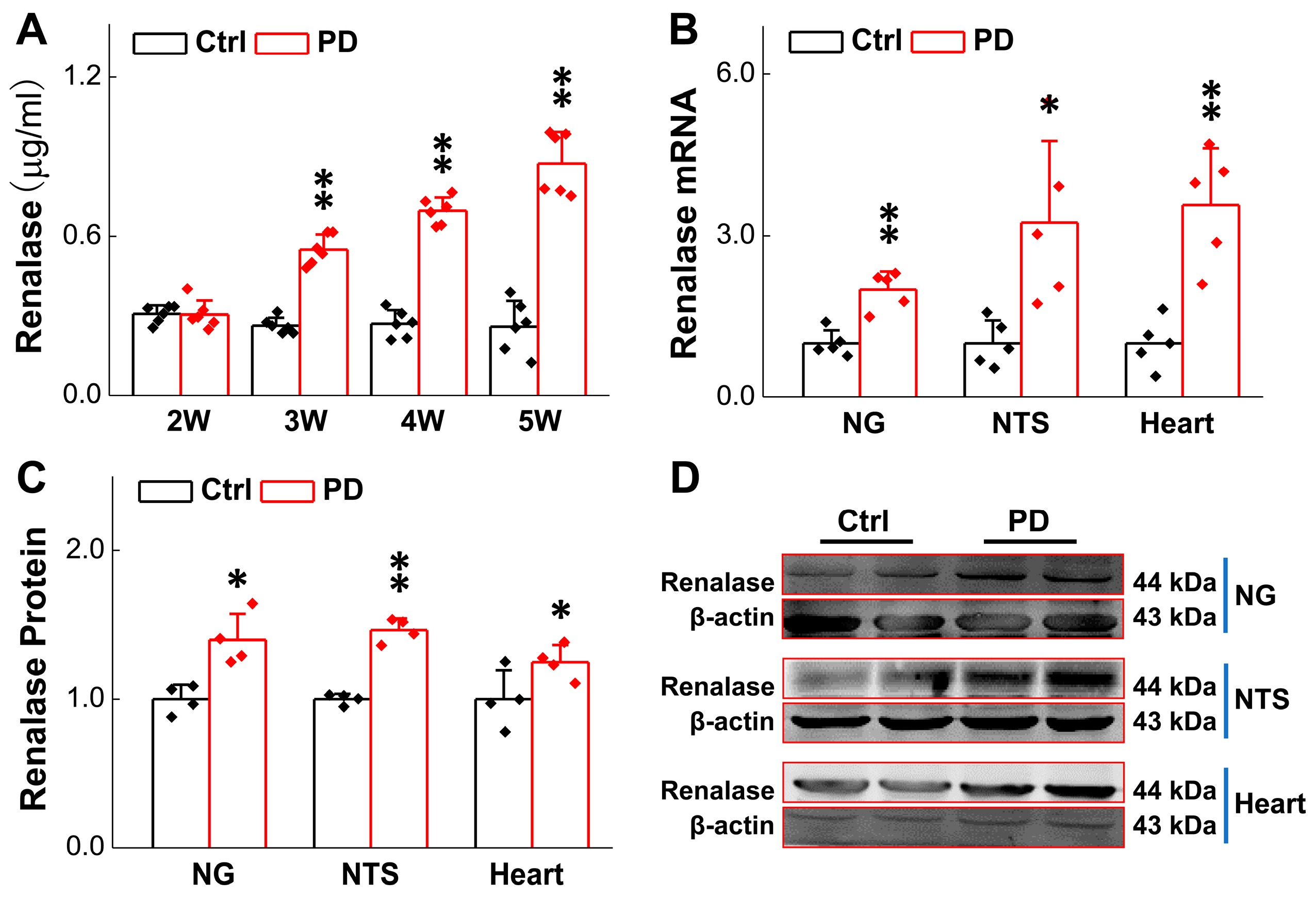 Biomedicines 13 01243 g002