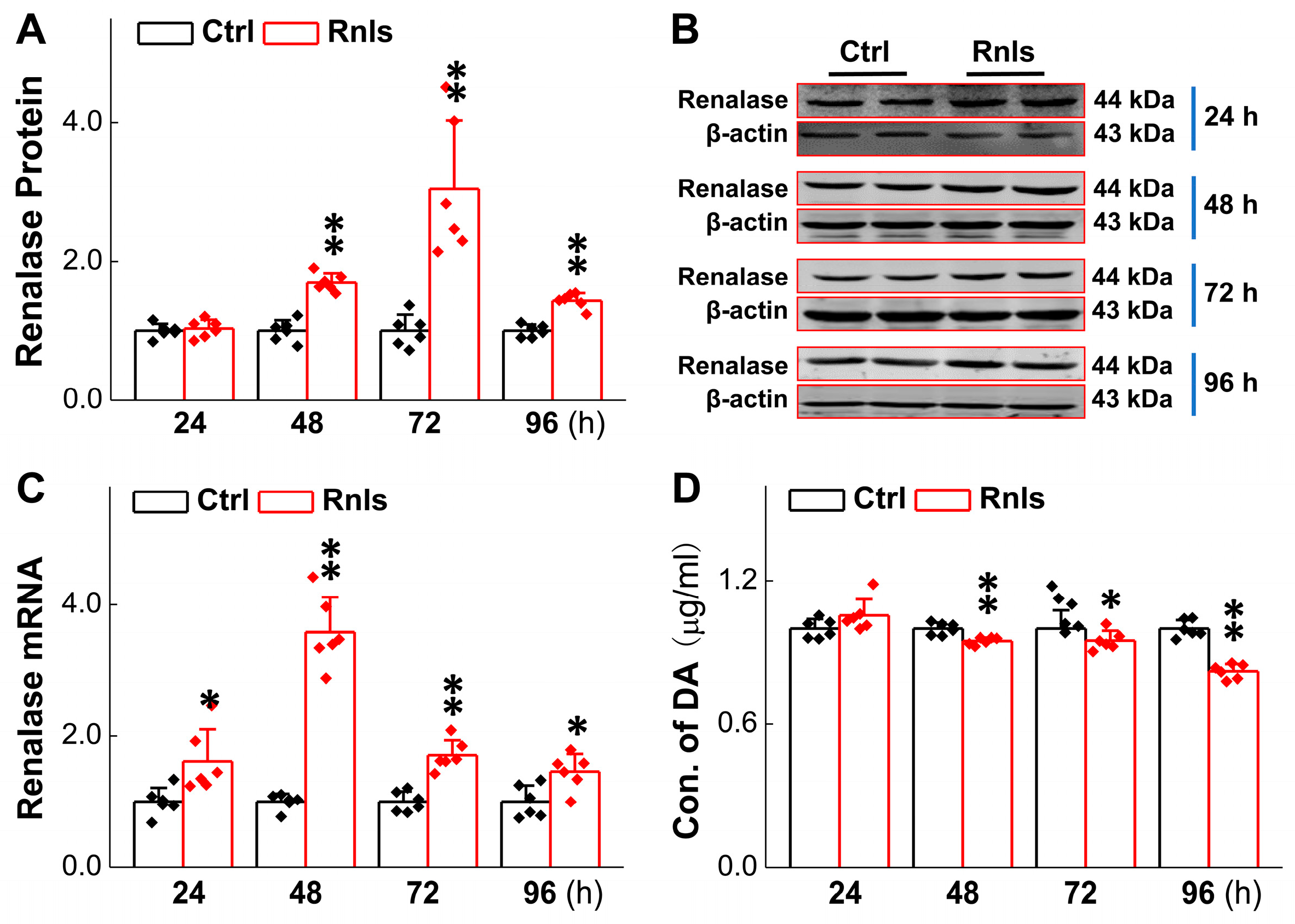 Biomedicines 13 01243 g003
