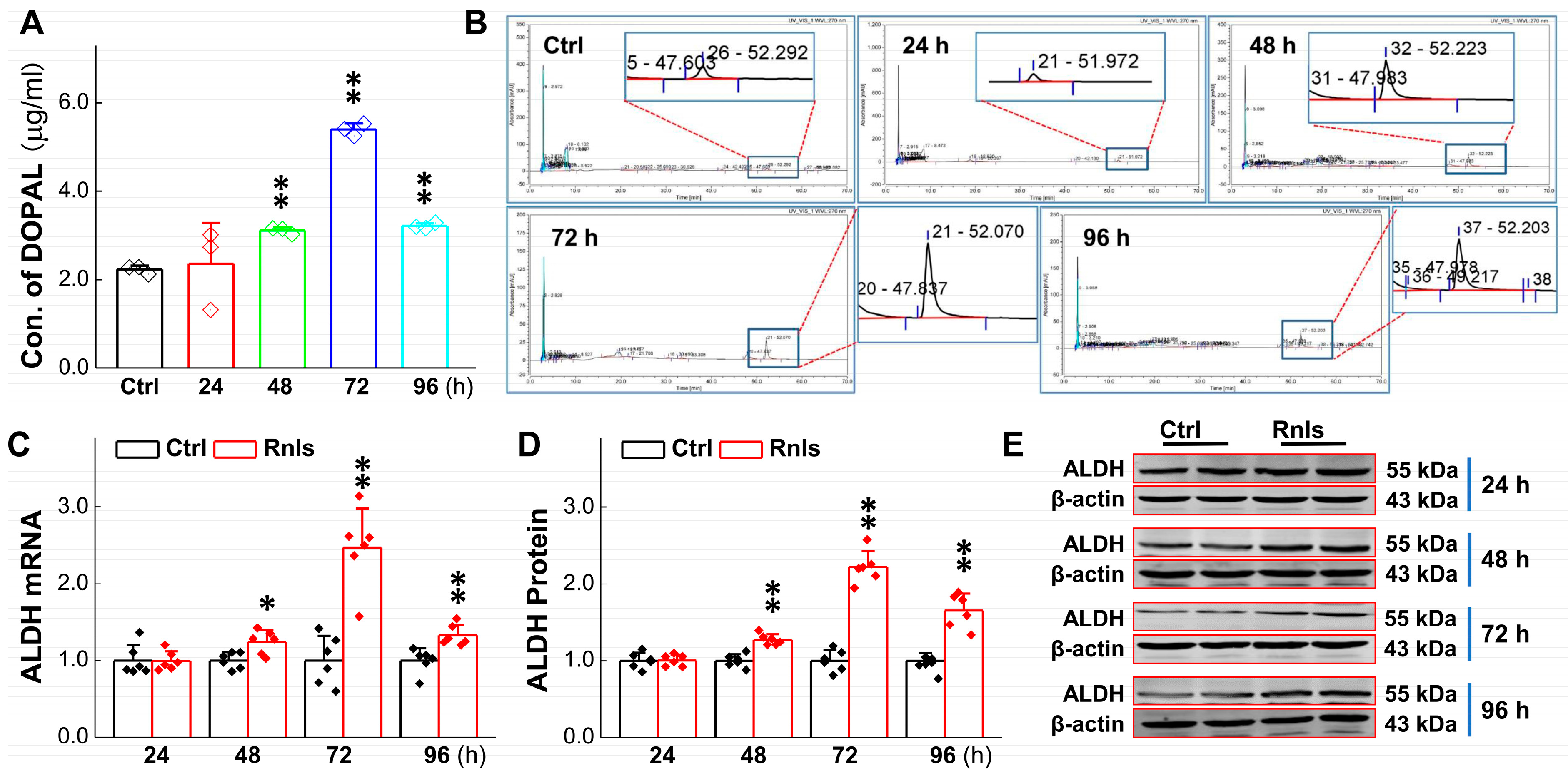 Biomedicines 13 01243 g004