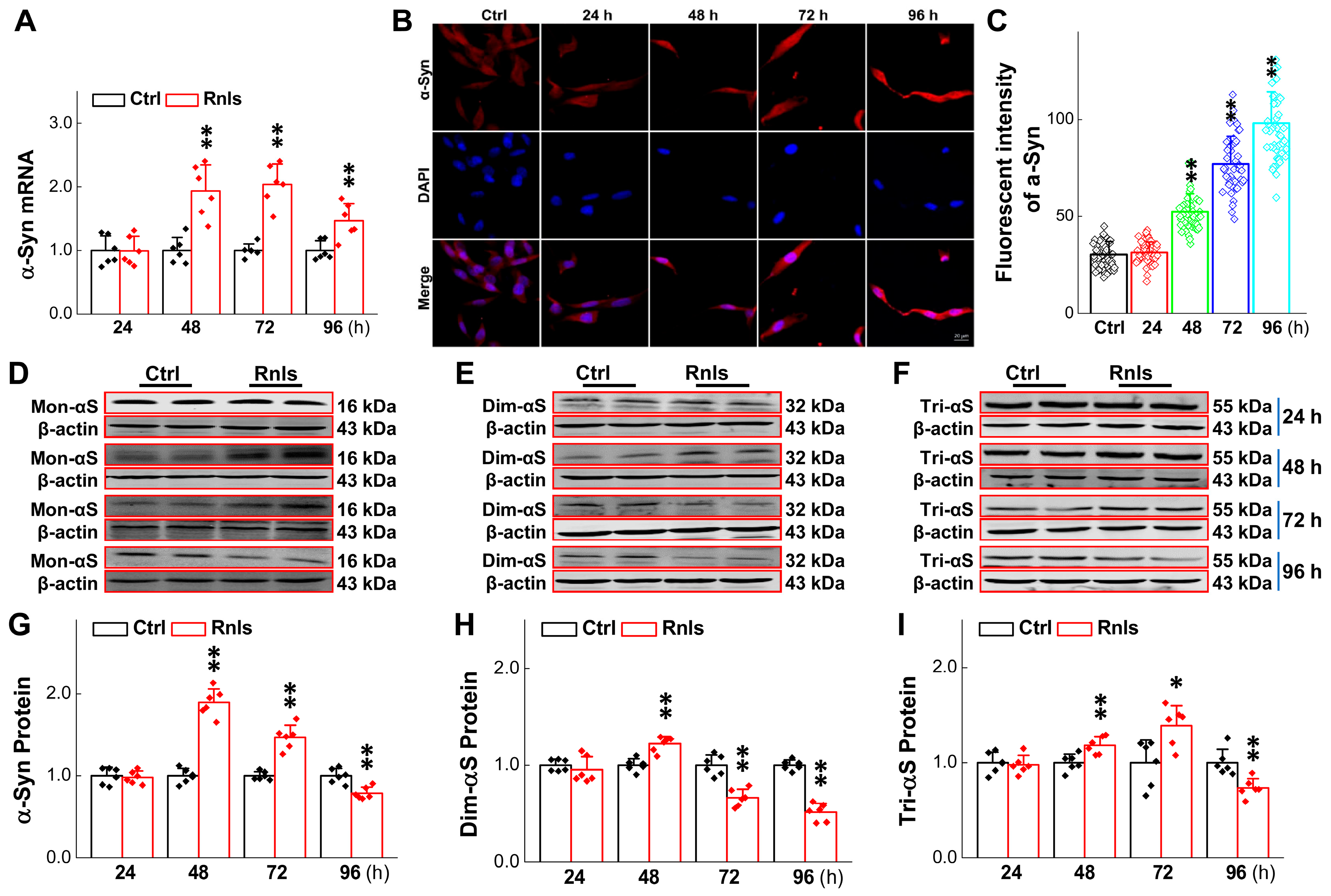 Biomedicines 13 01243 g005
