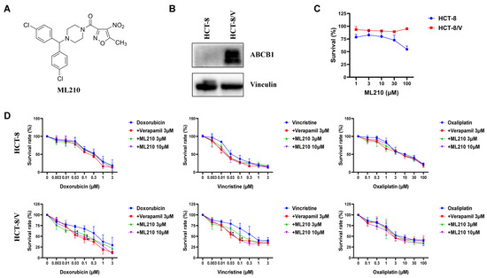ML210 Antagonizes ABCB1- Not ABCG2-Mediated Multidrug Resistance