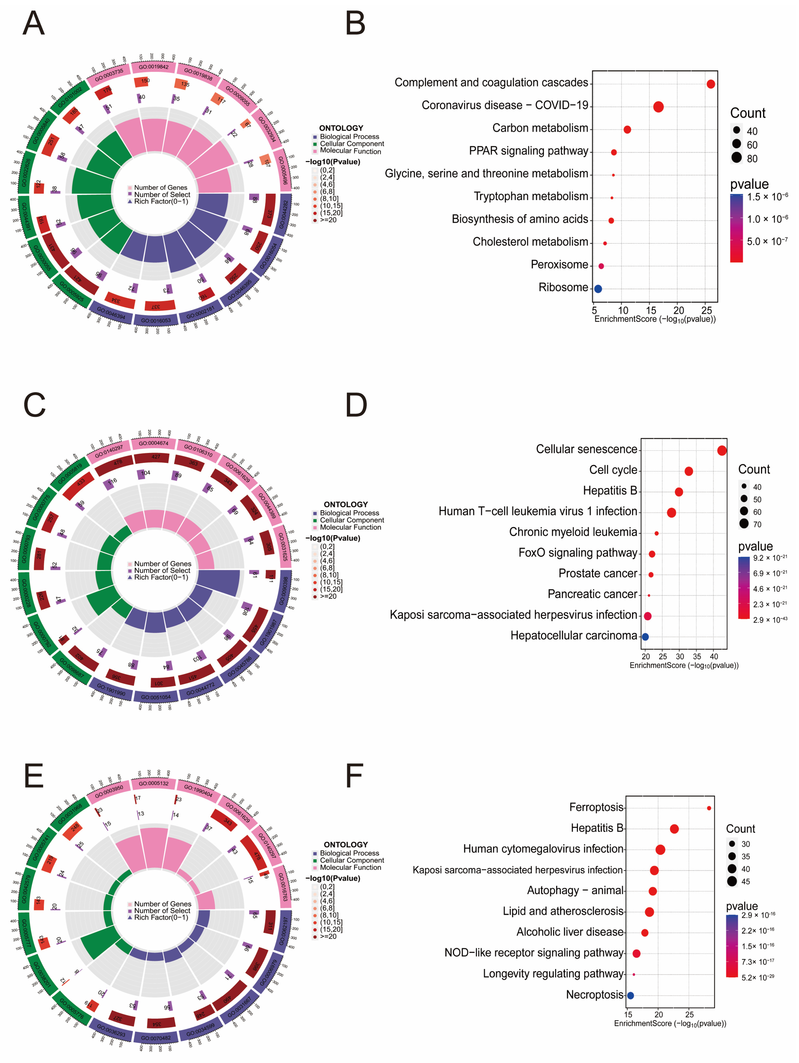 Biomedicines 13 01249 g001