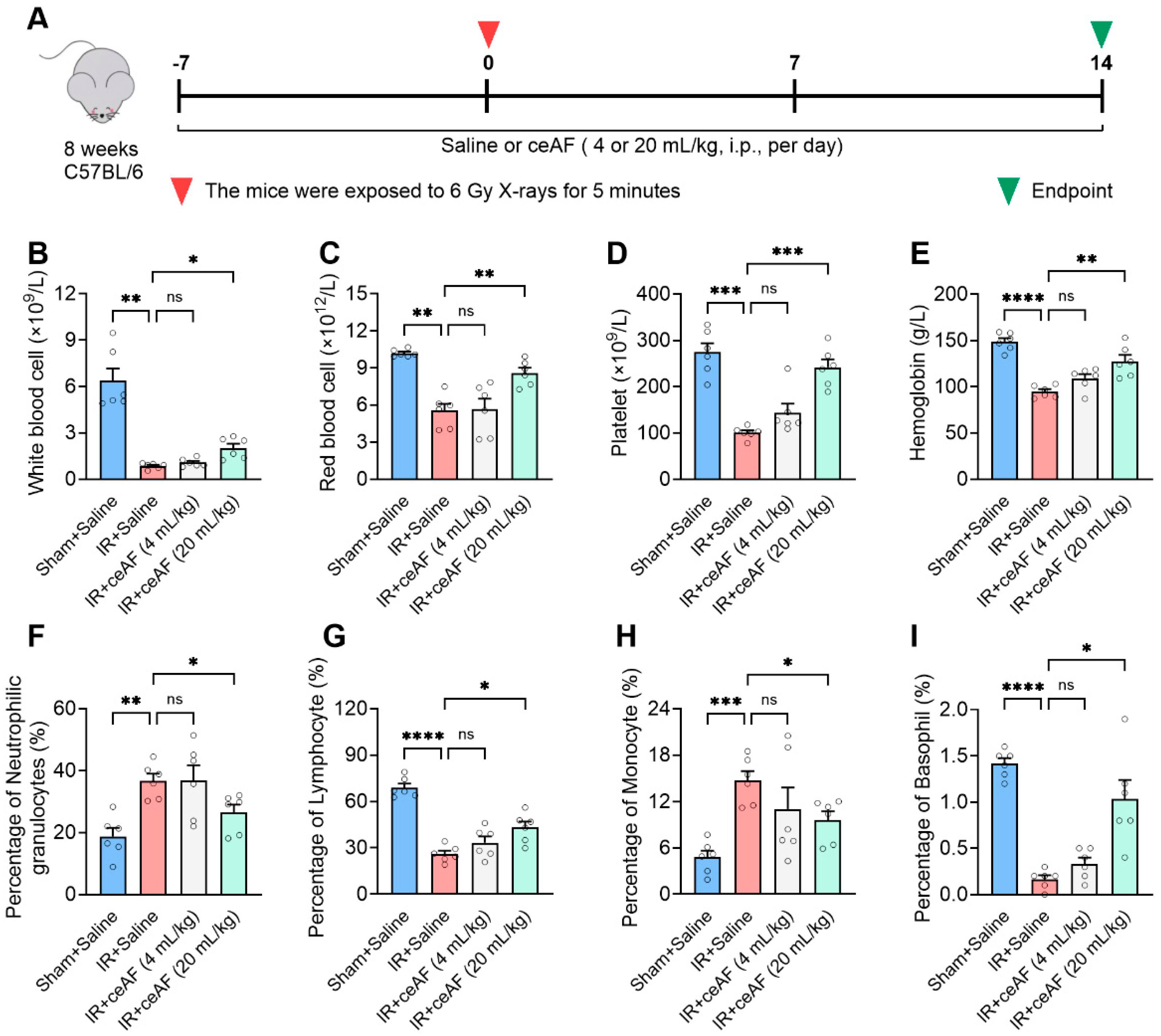 Biomedicines 13 01253 g004