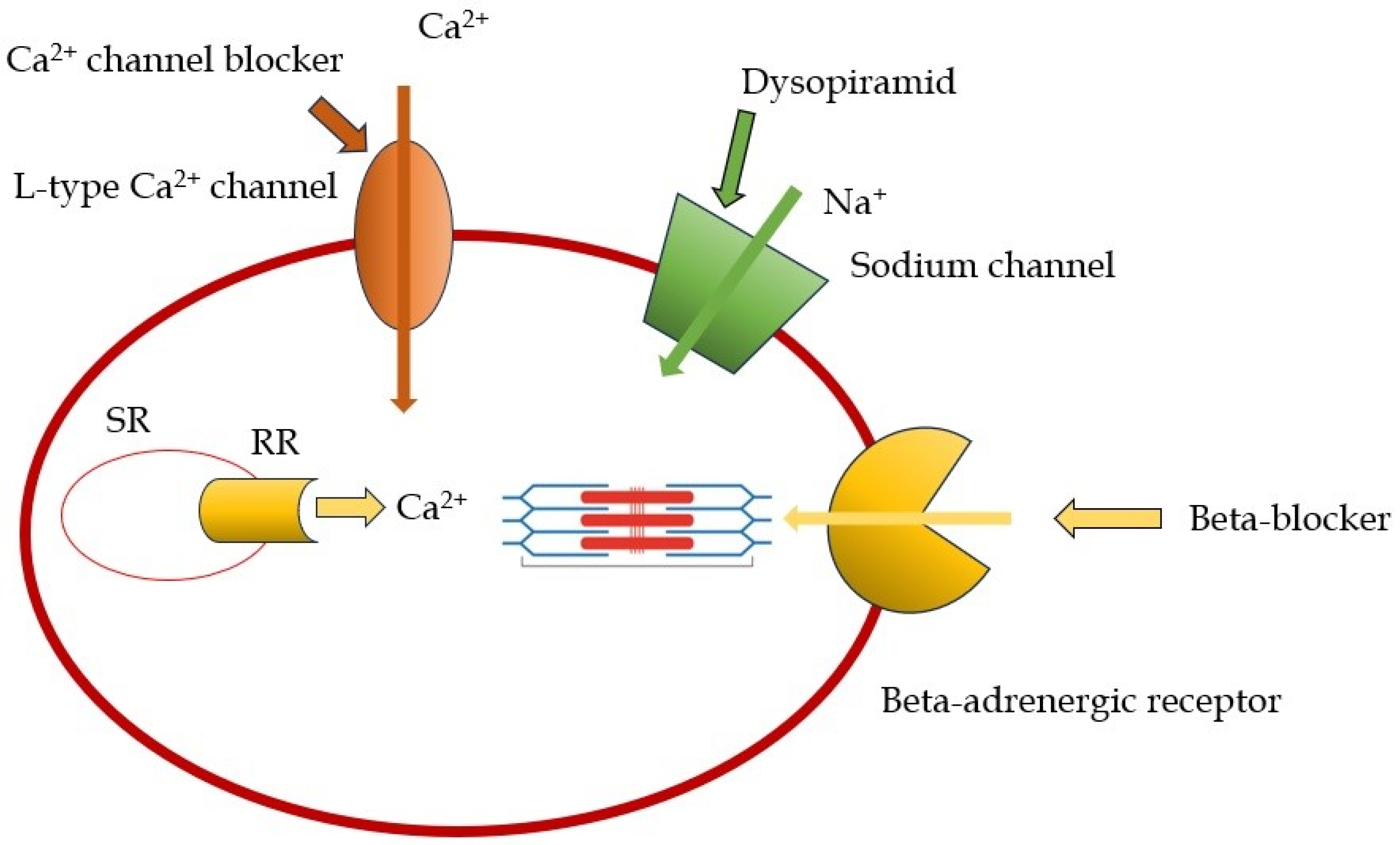 Biomedicines 13 01256 g001