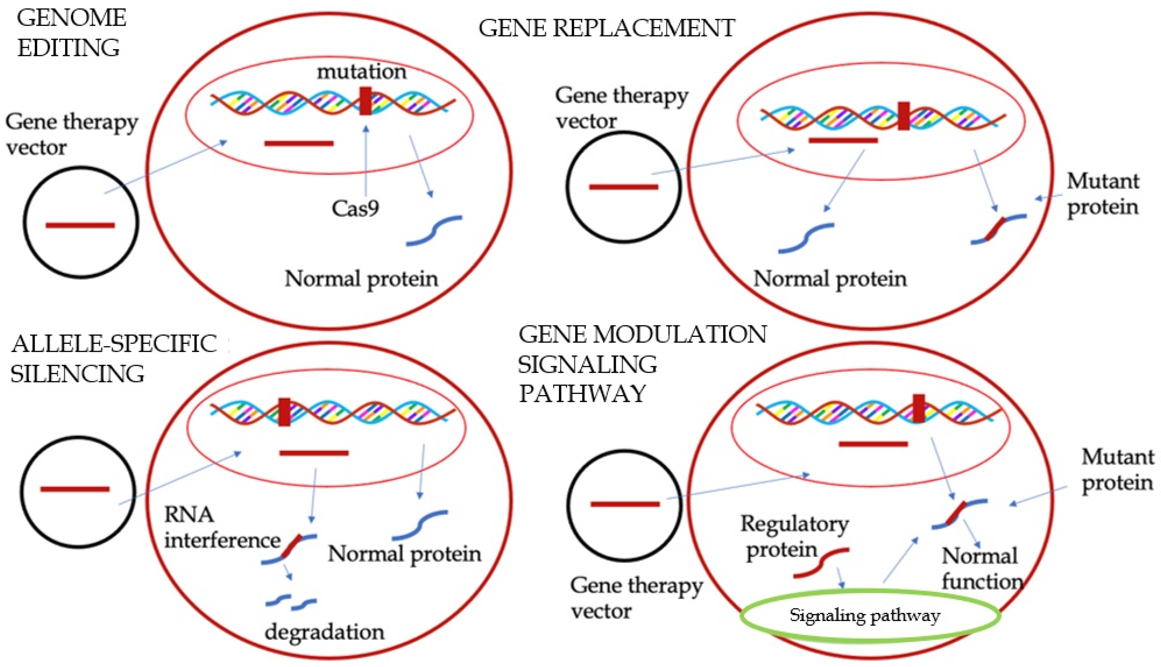Biomedicines 13 01256 g003
