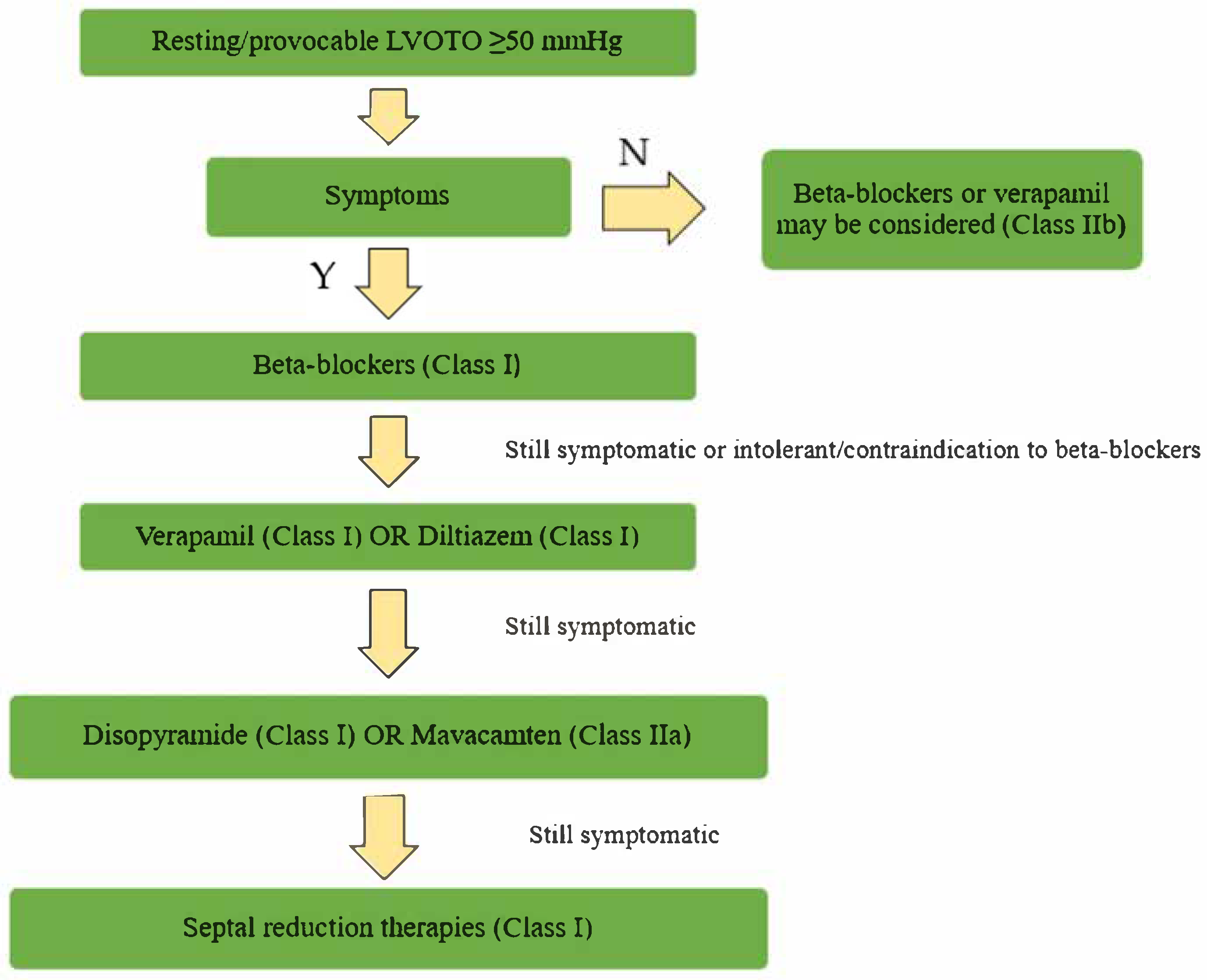 Biomedicines 13 01256 g005