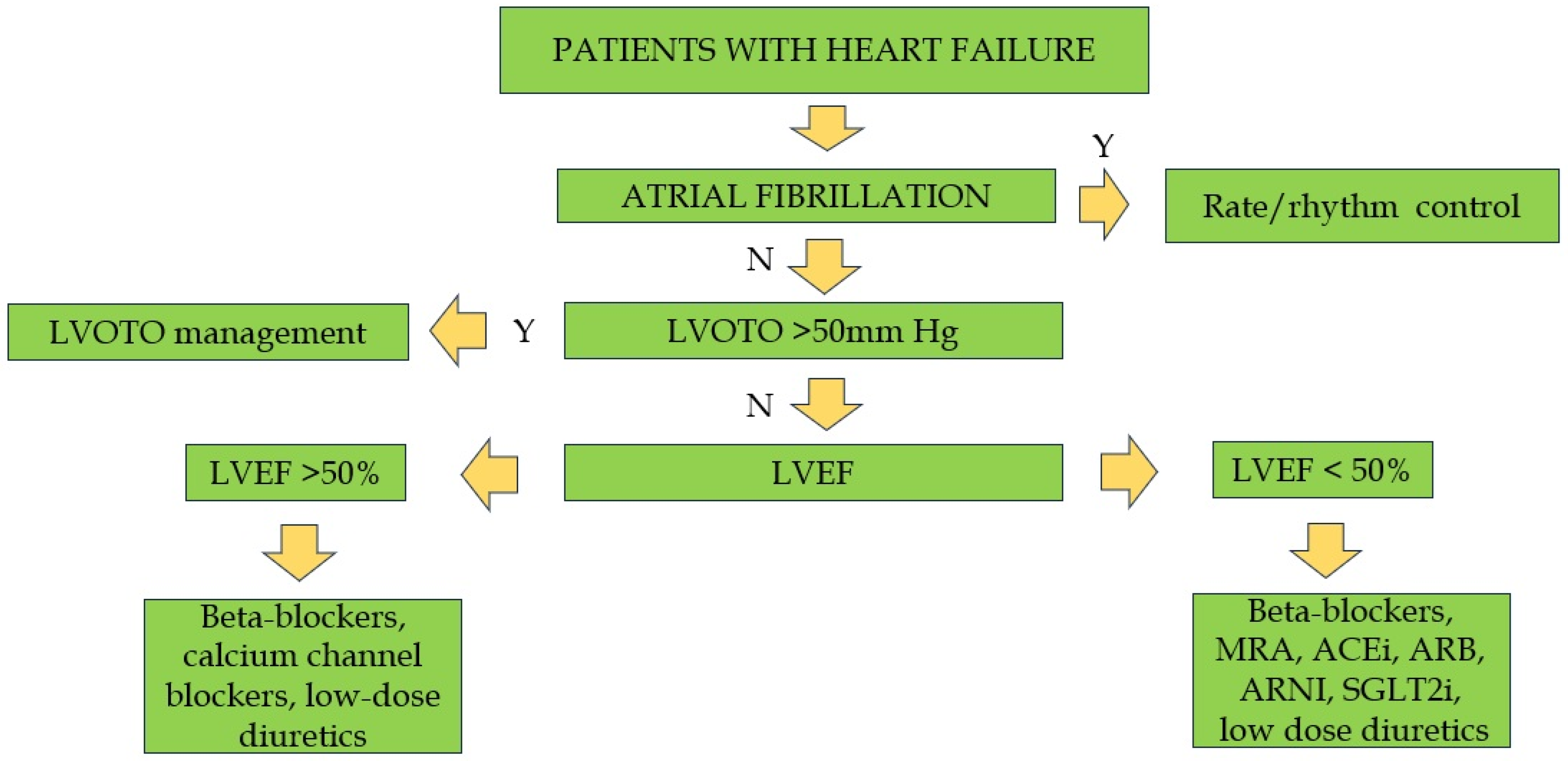 Biomedicines 13 01256 g006