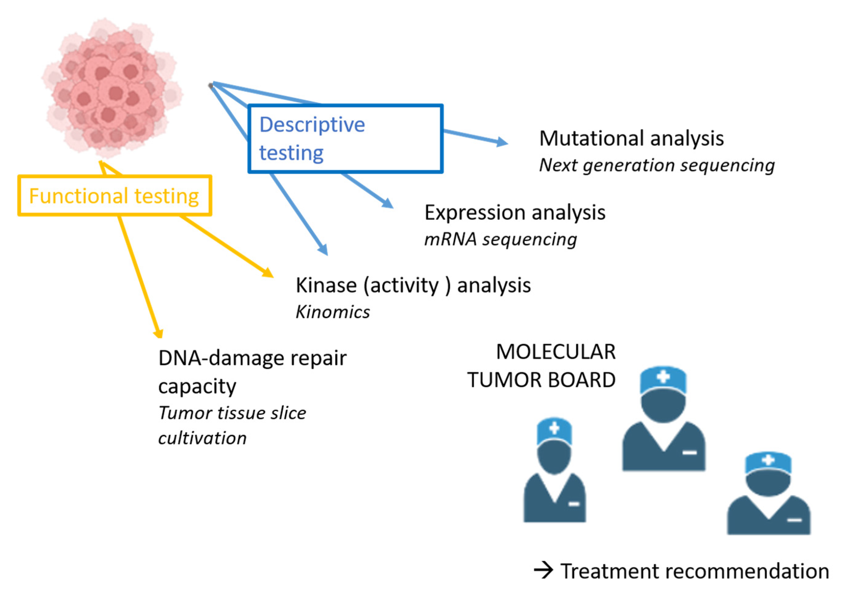 Biomedicines 13 01266 g001