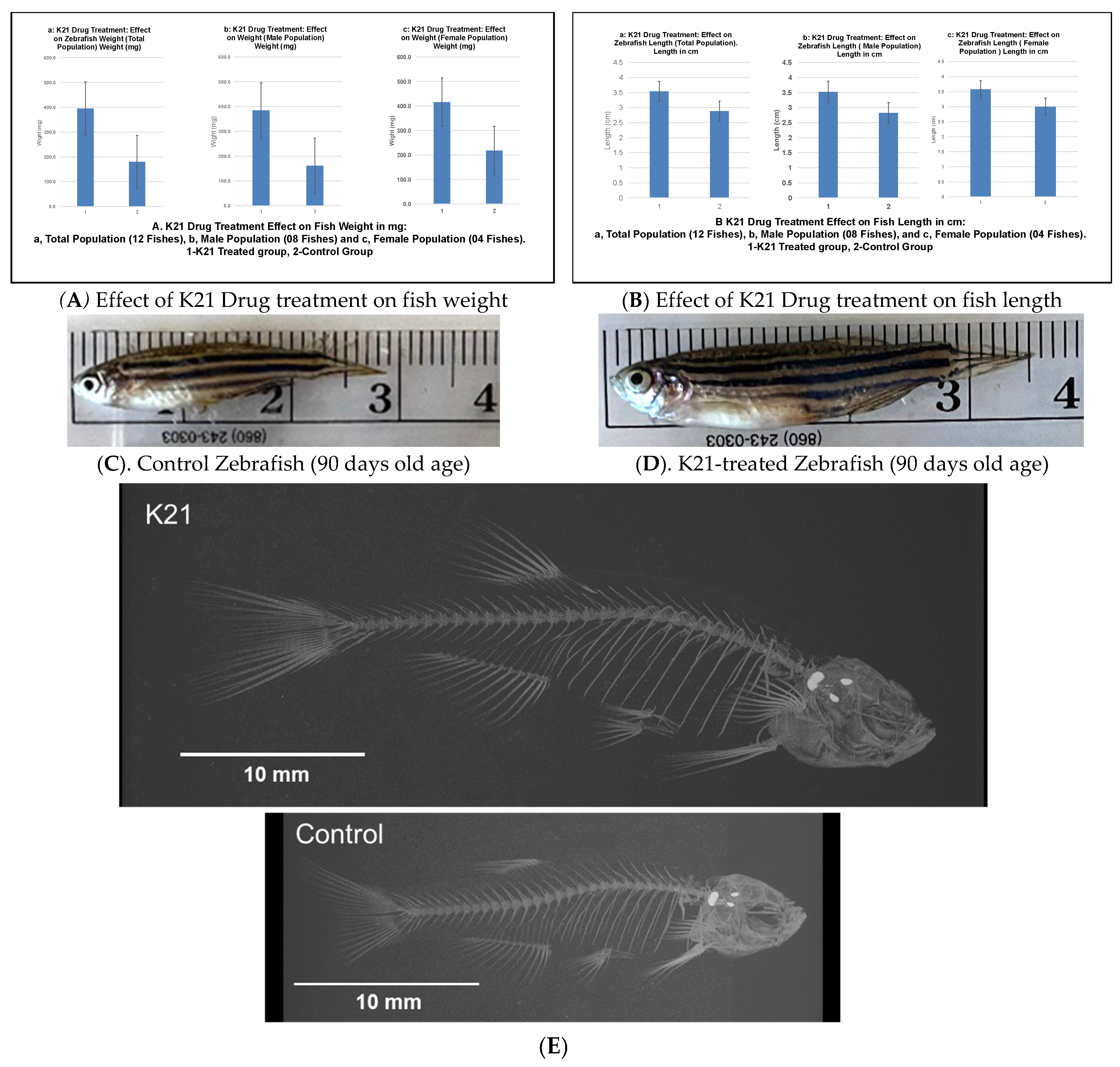 Biomedicines 13 01267 g002
