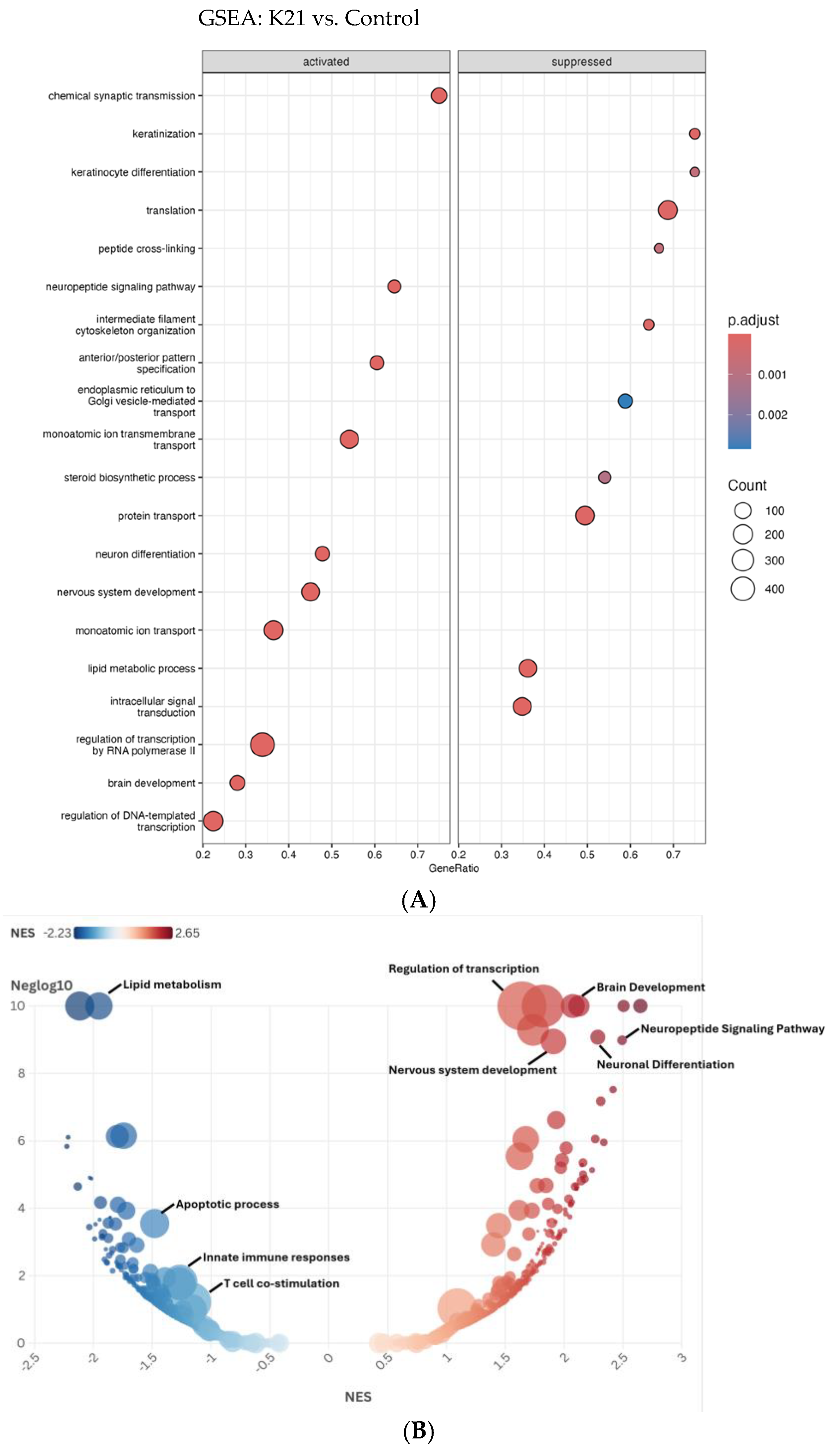 Biomedicines 13 01267 g010